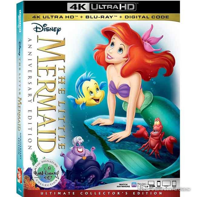 The Little Mermaid.jpg