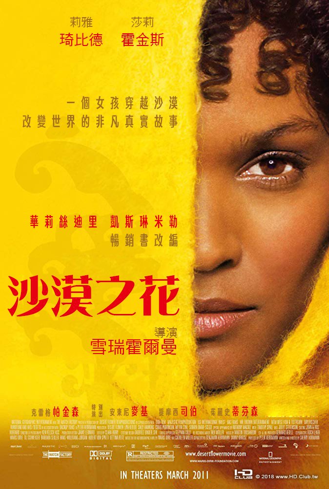 沙漠之花 DIY台灣海報