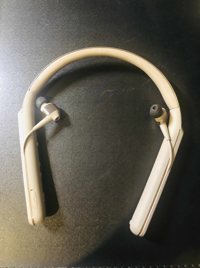 SONY WI-1000X 無線藍牙降噪頸掛入耳式耳機 (香檳金)