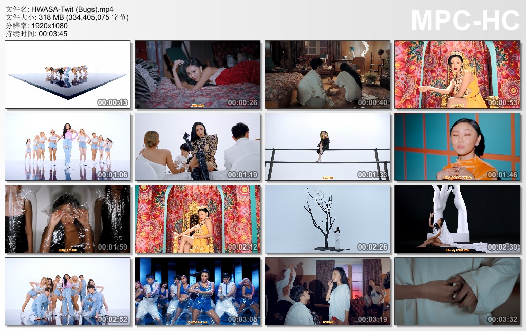 HWASA-Twit (Bugs).jpg