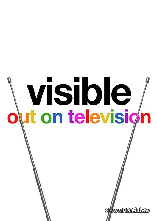 Visible.Out.on.Television.(A+).S01.看見驕傲：同志文化電視史.jpg