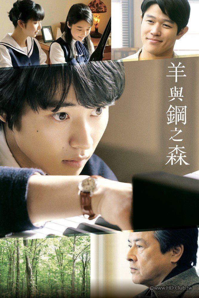 The Forest of Wool and Steel.jpg