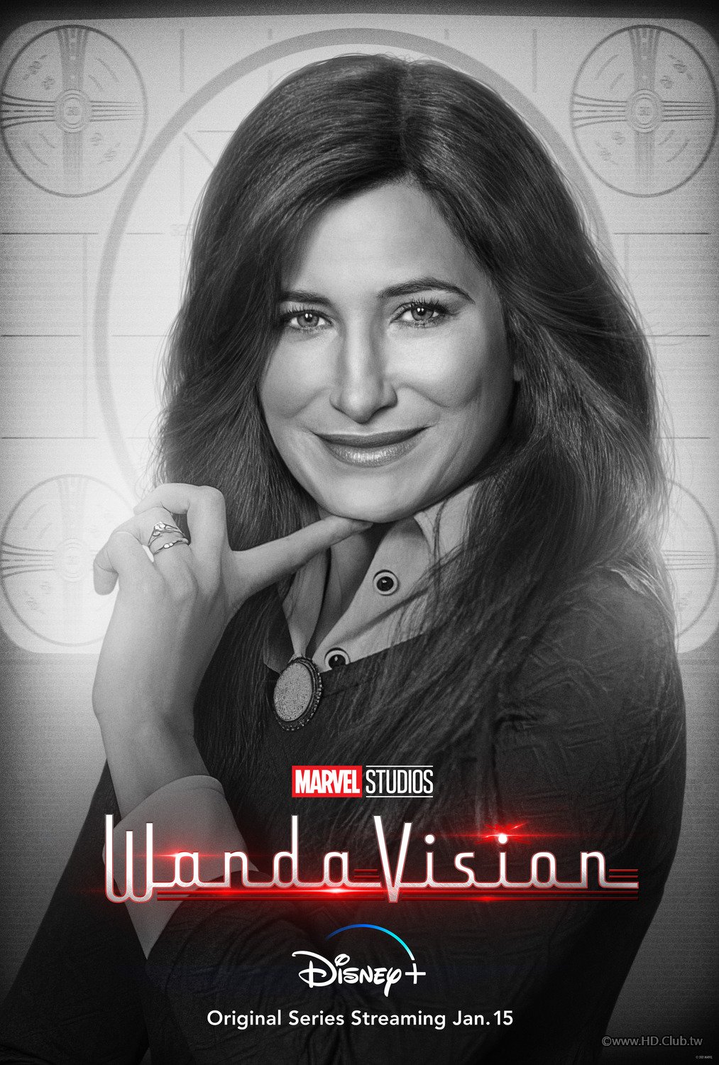 wandavision_ver13_xlg.jpg