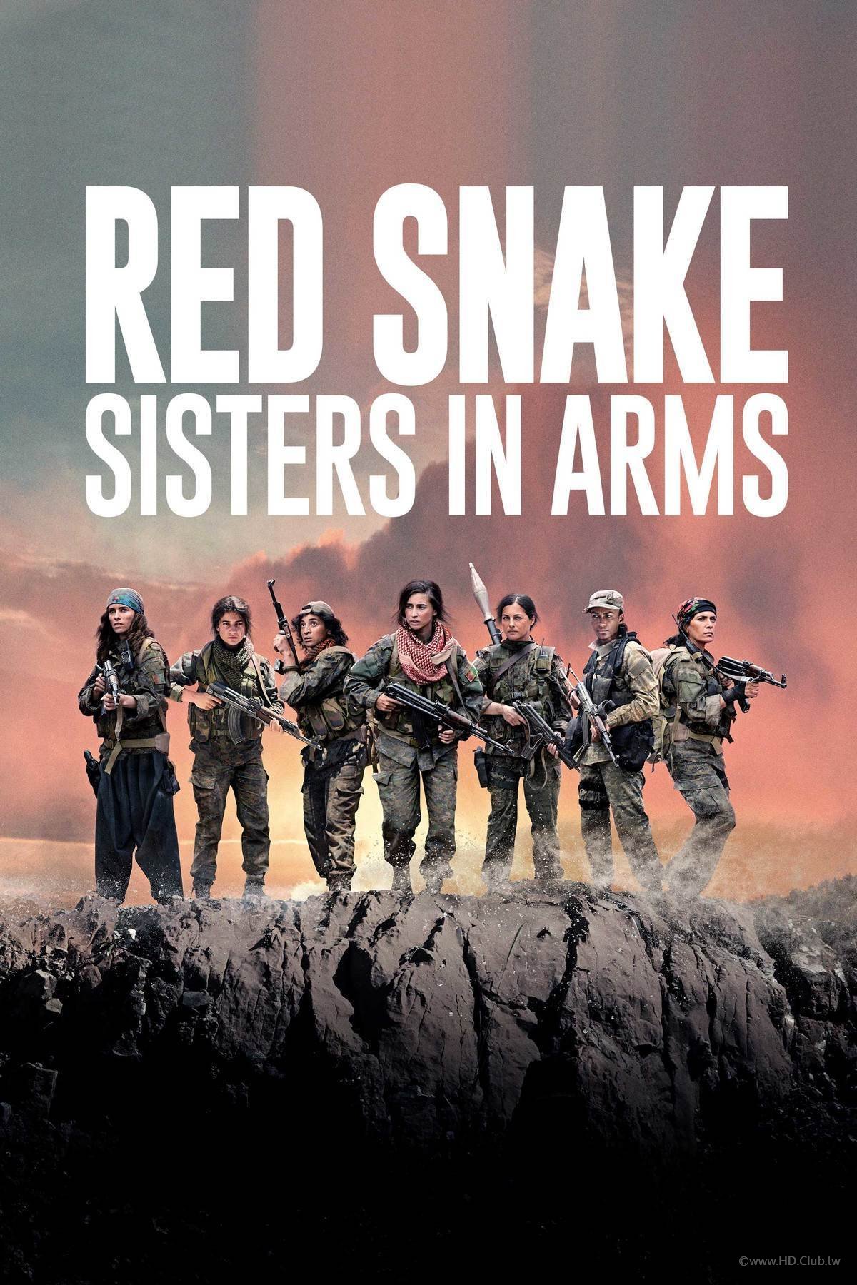武裝姐妹.jpg