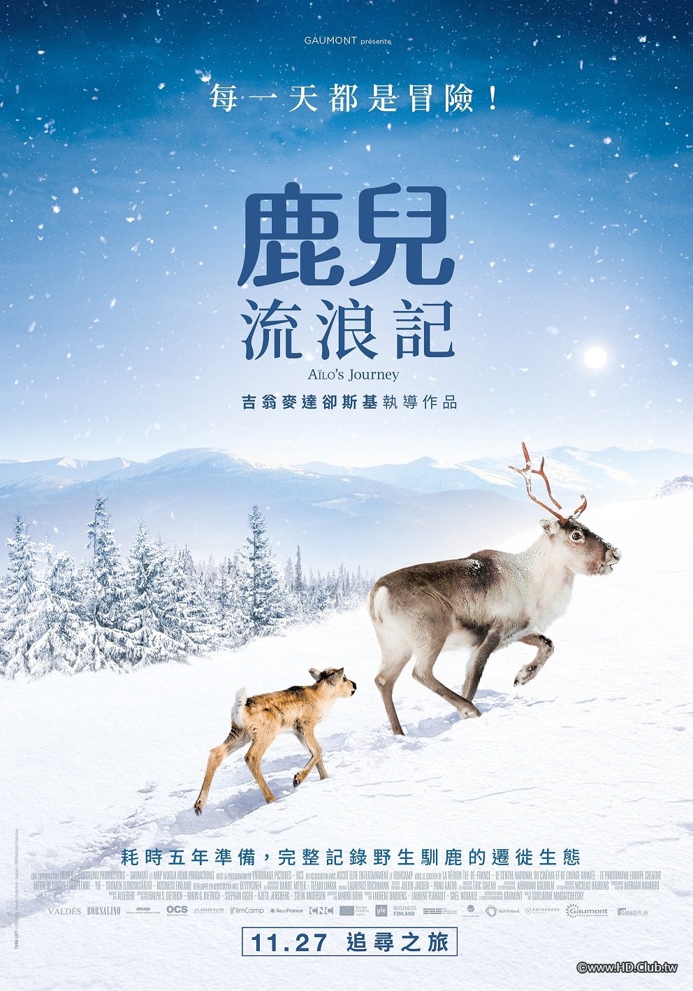 Ailo’s Journey.jpg