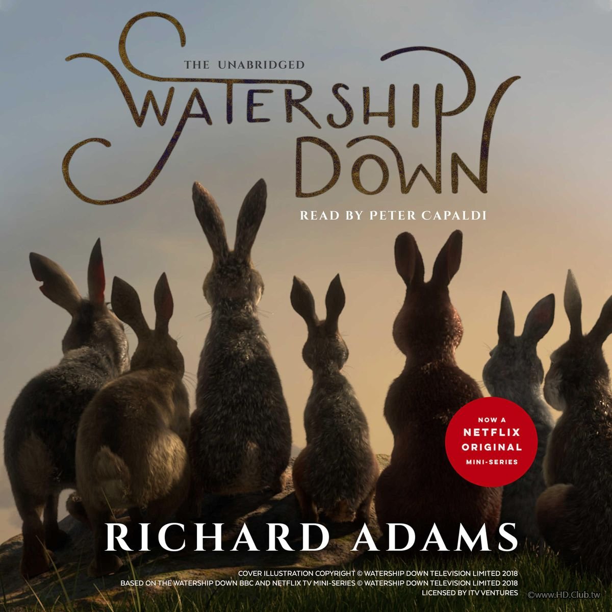 Watership Down.jpg
