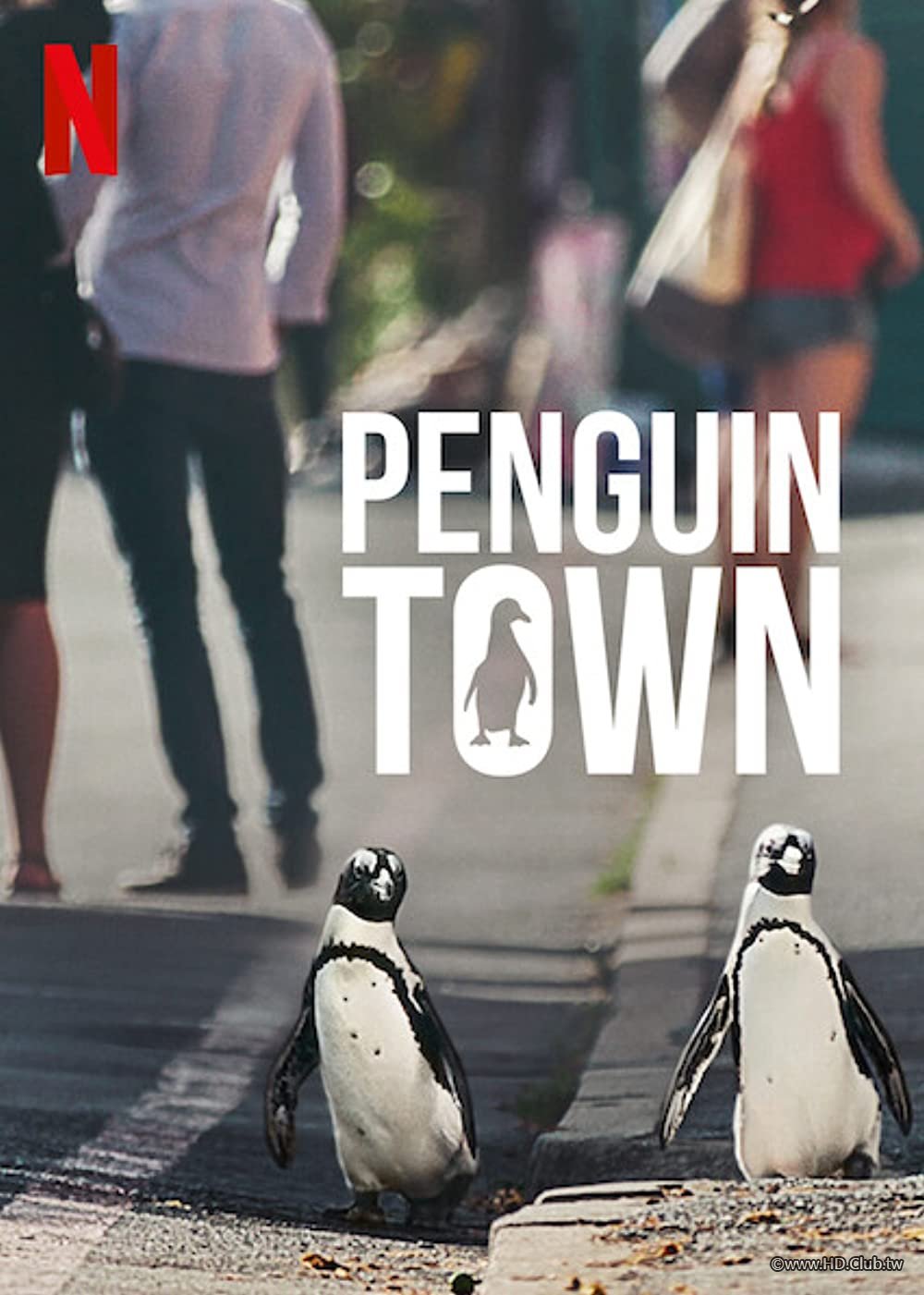 Penguin Town.jpg