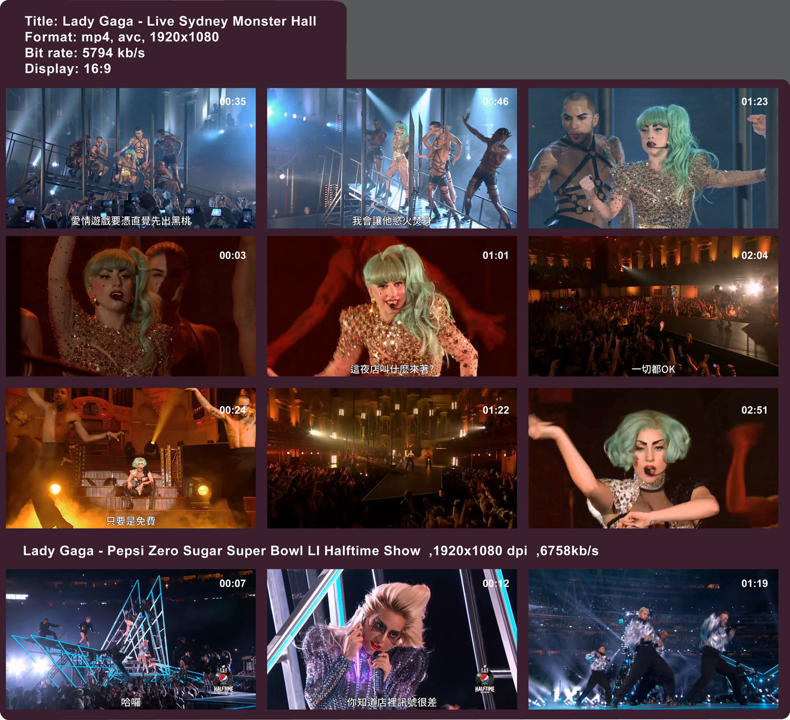 Lady Gaga Live Sydney Monster Hall 2011.jpg