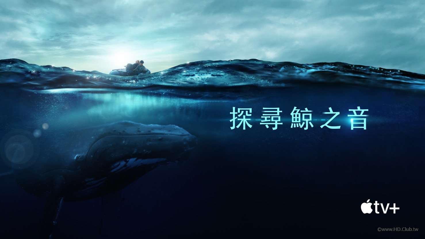 探尋鯨之音.jpg