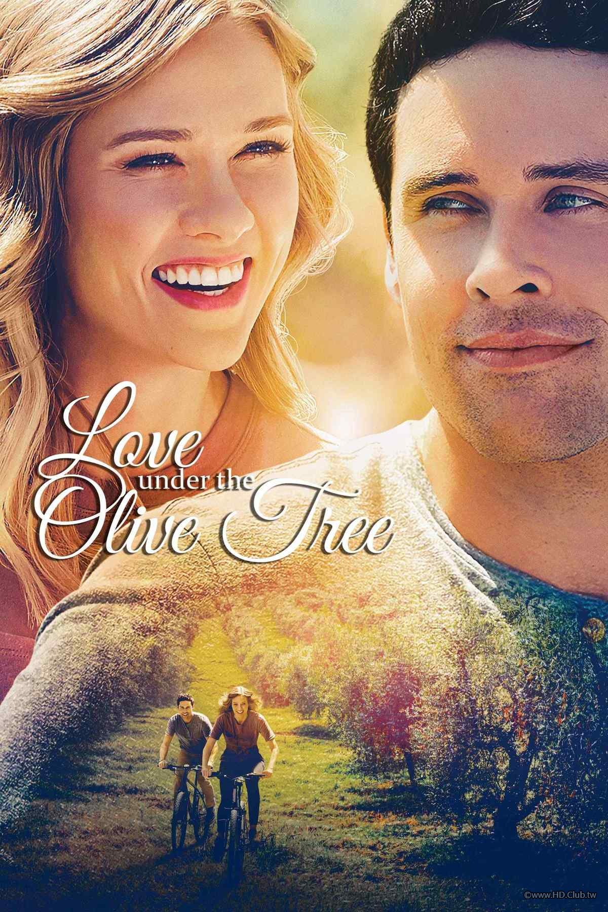 Love Under the Olive Tree.jpg