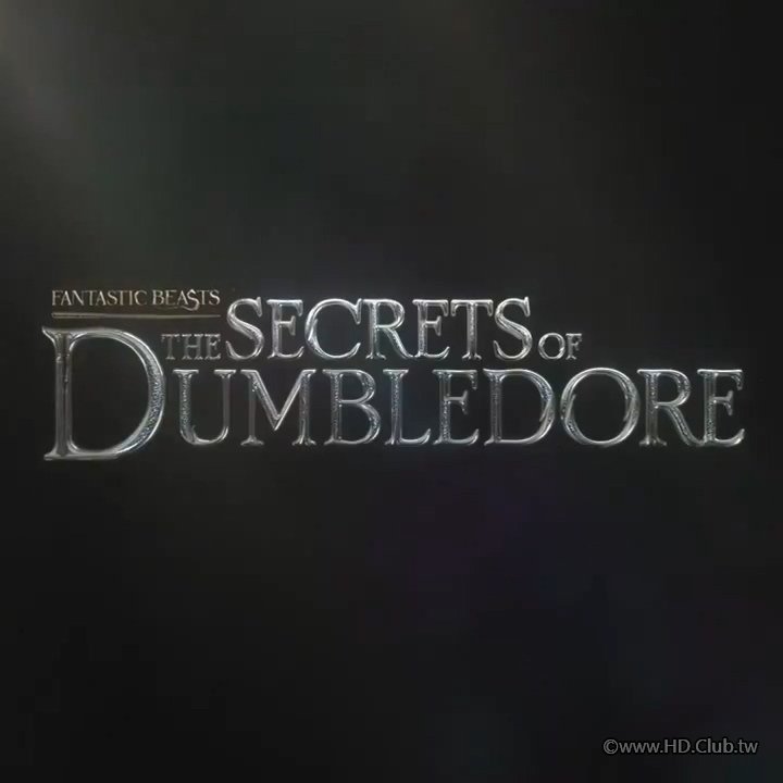 FantasticBeasts- The Secrets of Dumbledore .jpg