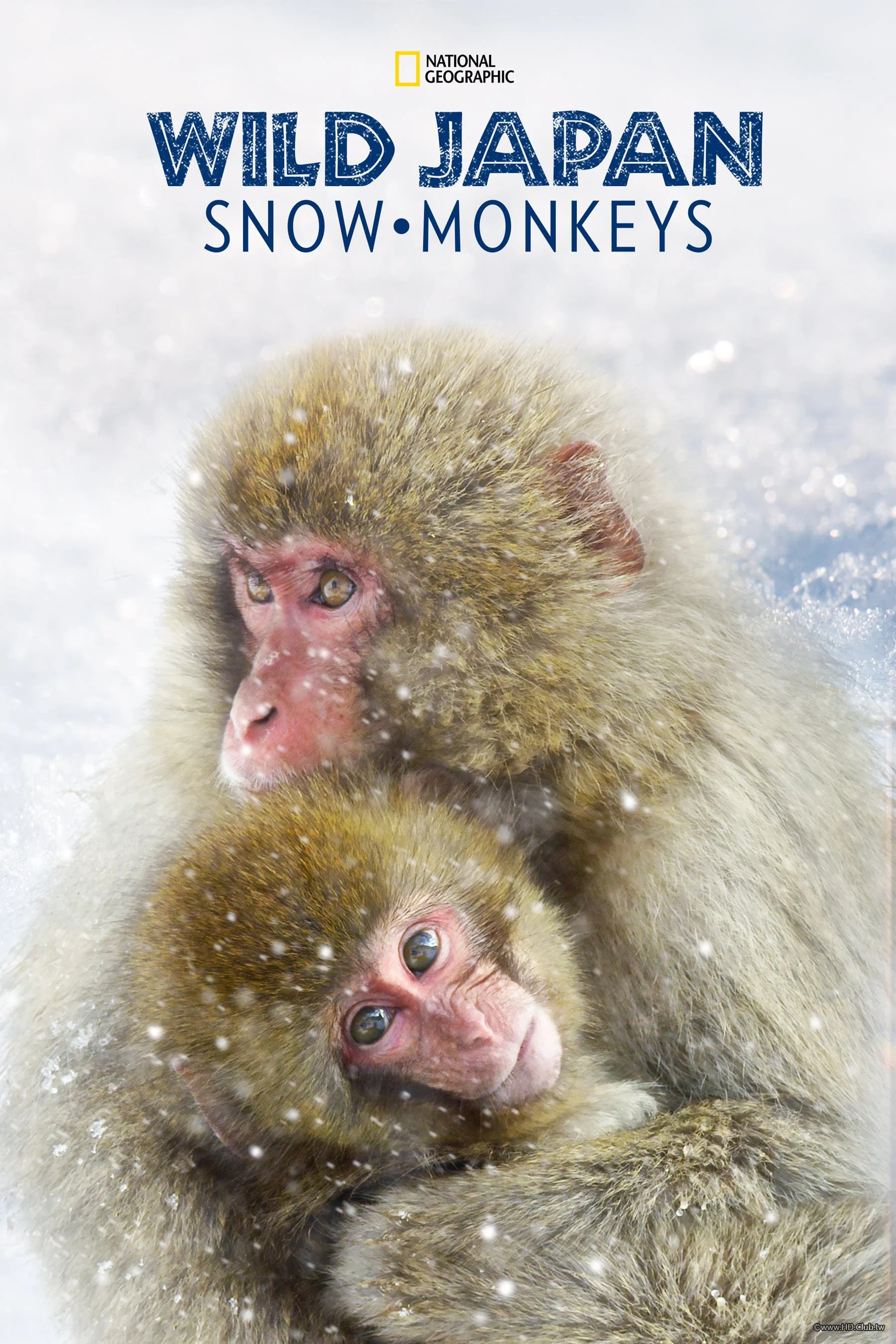 Wild Japan：Snow Monkeys S01(野性日本：雪猴 第一季).jpg