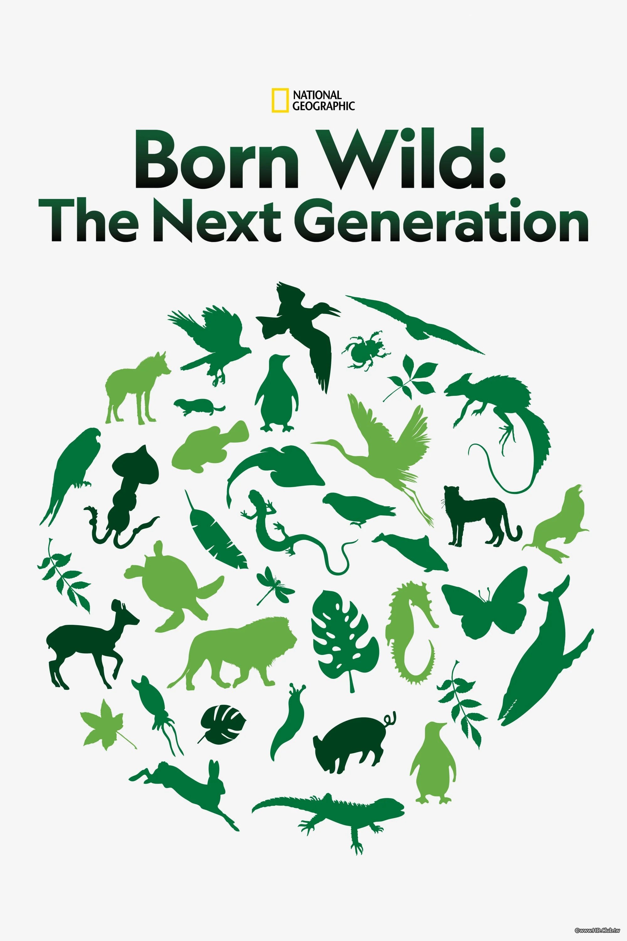 Born Wild_ The Next Generation(天生野性，下一代).jpg