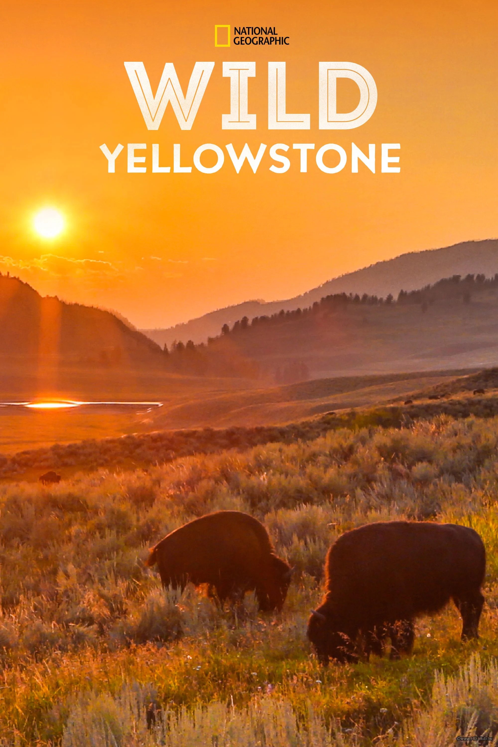 Wild Yellowstone S01(野性黃石公園 第一季).jpg