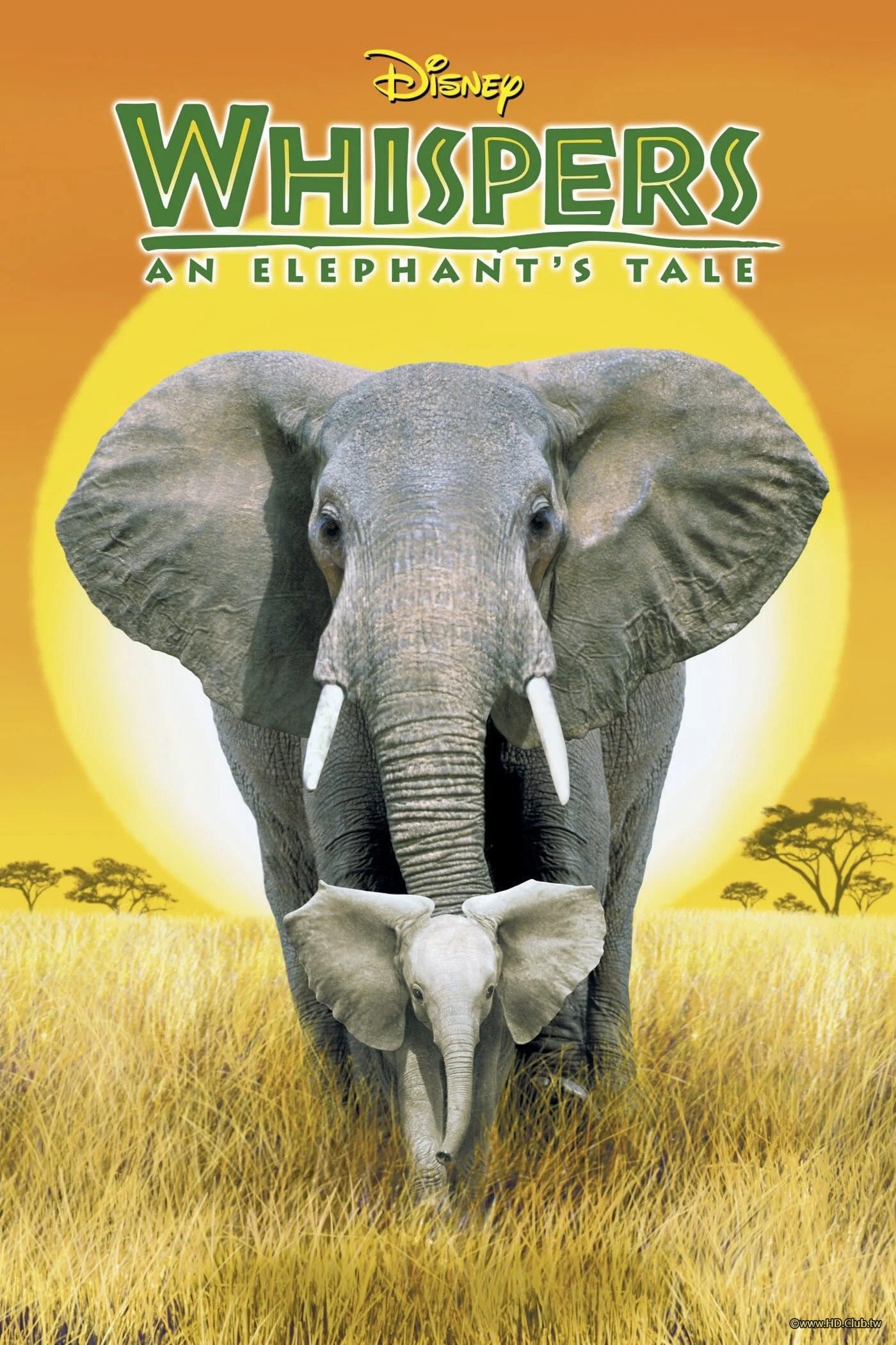 Whispers：An Elephant&#039;s Tale(小象的故事).jpg