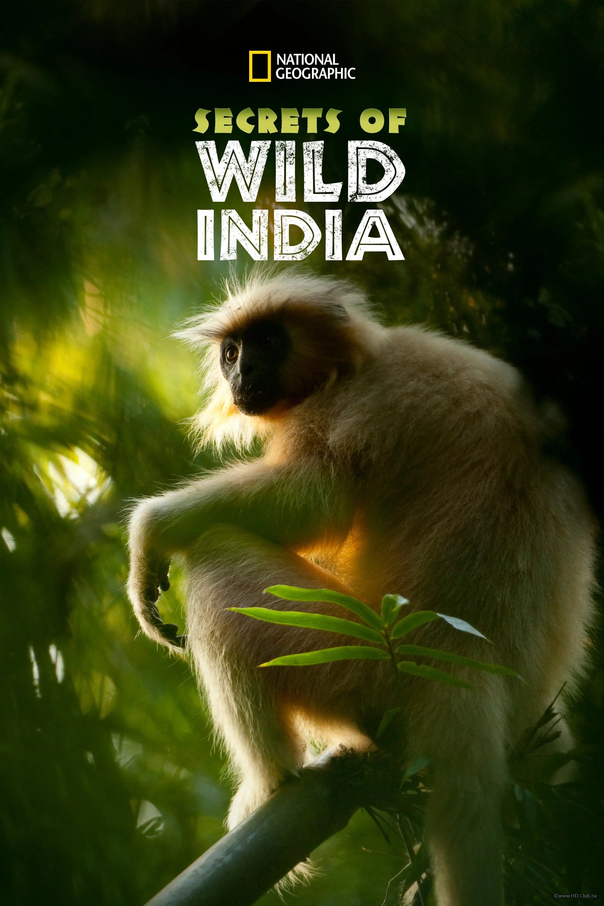 Secrets of Wild India S01(野性印度的祕密 第一季).jpg