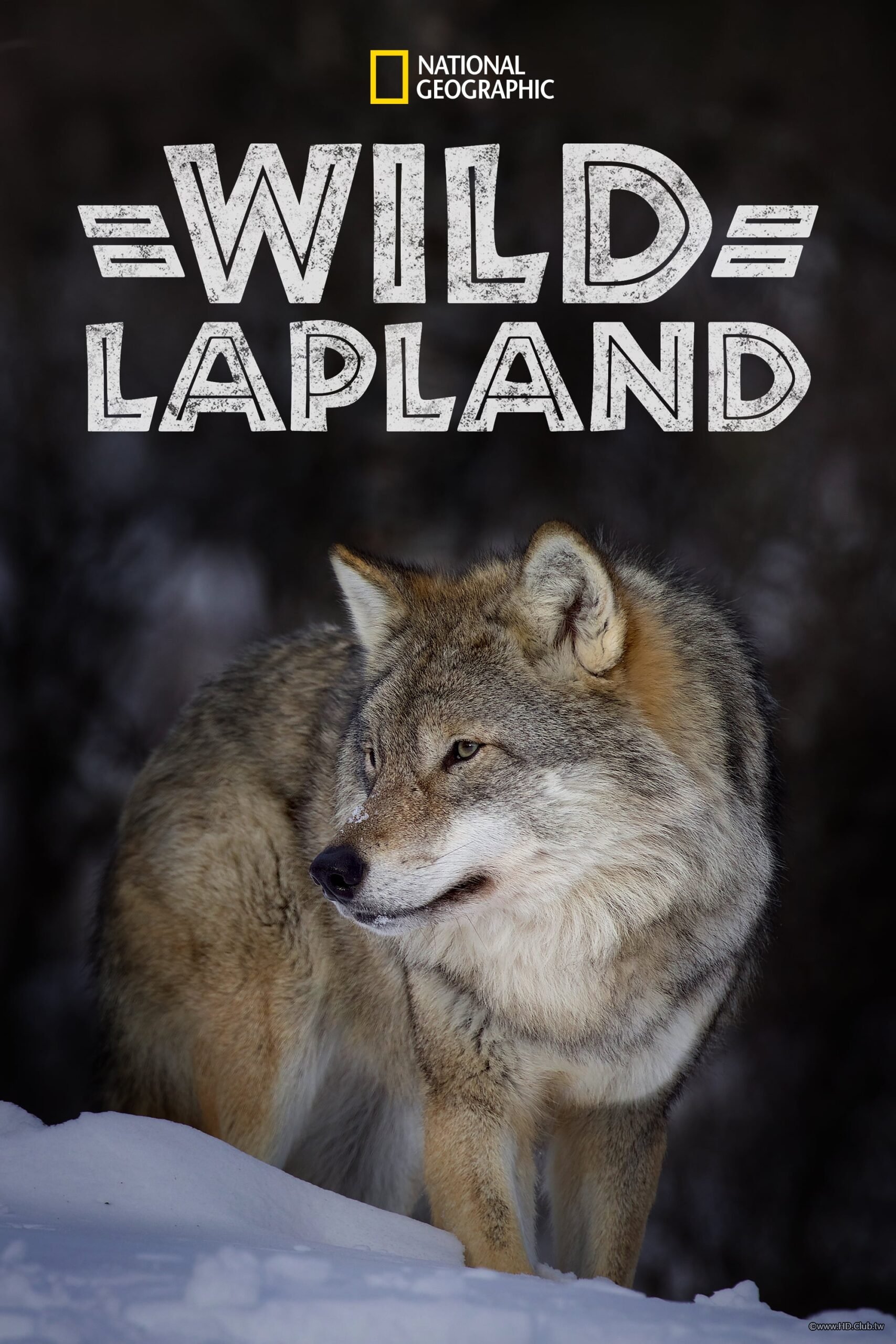 Wild Lapland(野性聖誕之家).jpg