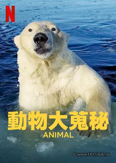 動物大蒐秘2_png.png