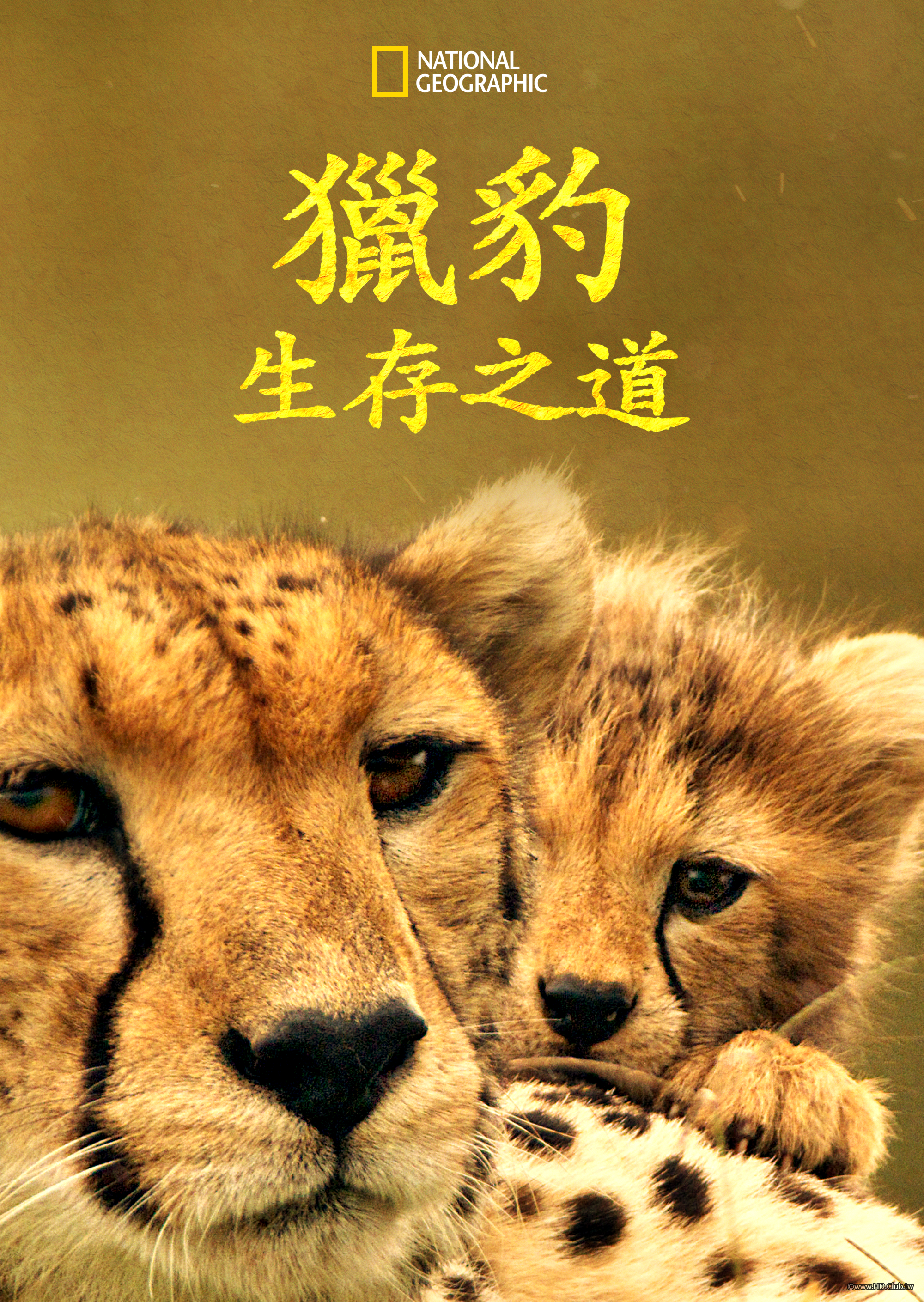 The Way of the Cheetah(獵豹生存之道).png