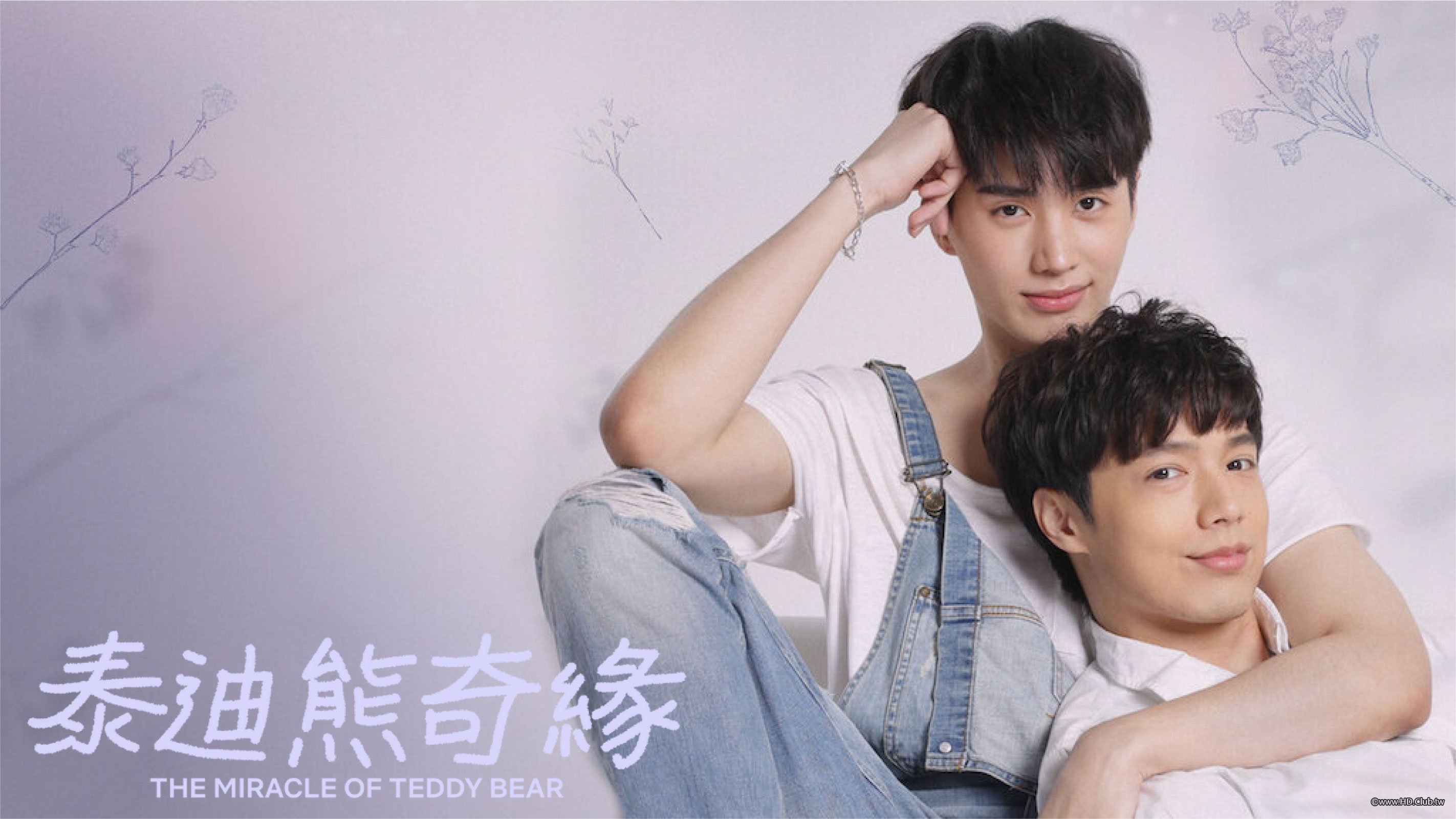 The Miracle Of Teddy Bear.jpg