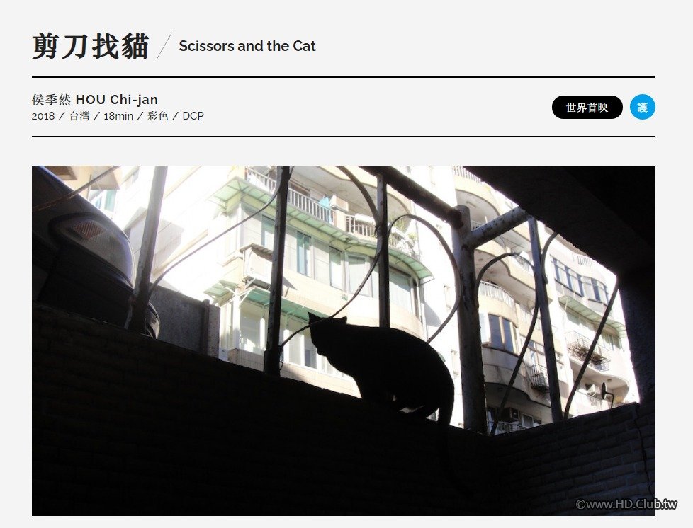 Scissors and the Cat 剪刀找貓.jpg