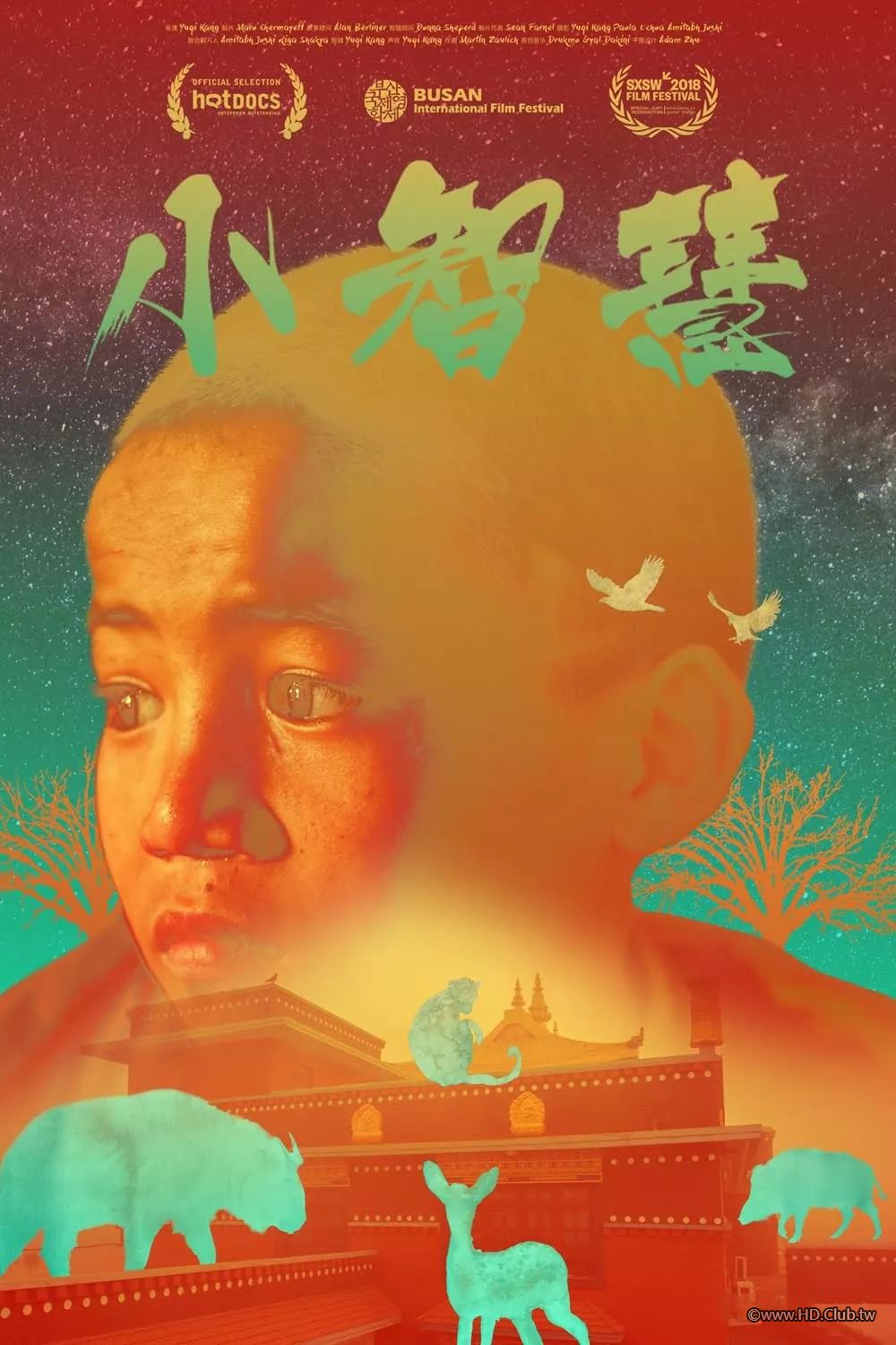 A Little Wisdom 小智慧.jpg