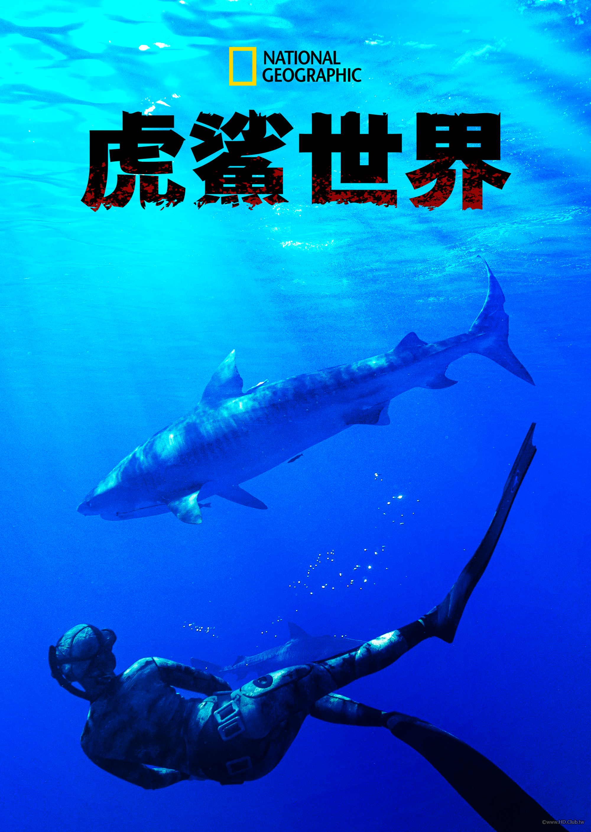 Maui Shark Mystery(虎鯊世界).png