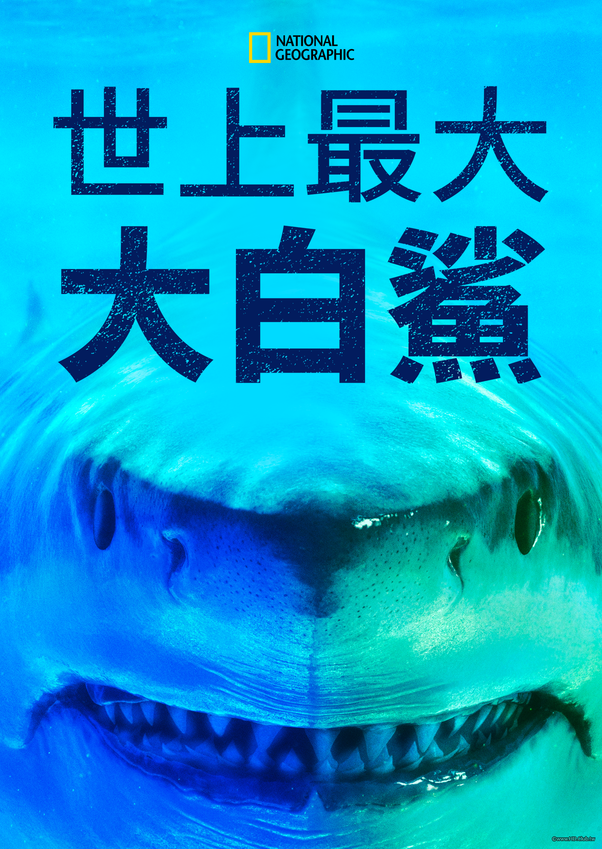 World&#039;s Biggest Great White？(世上最大大白鯊).png