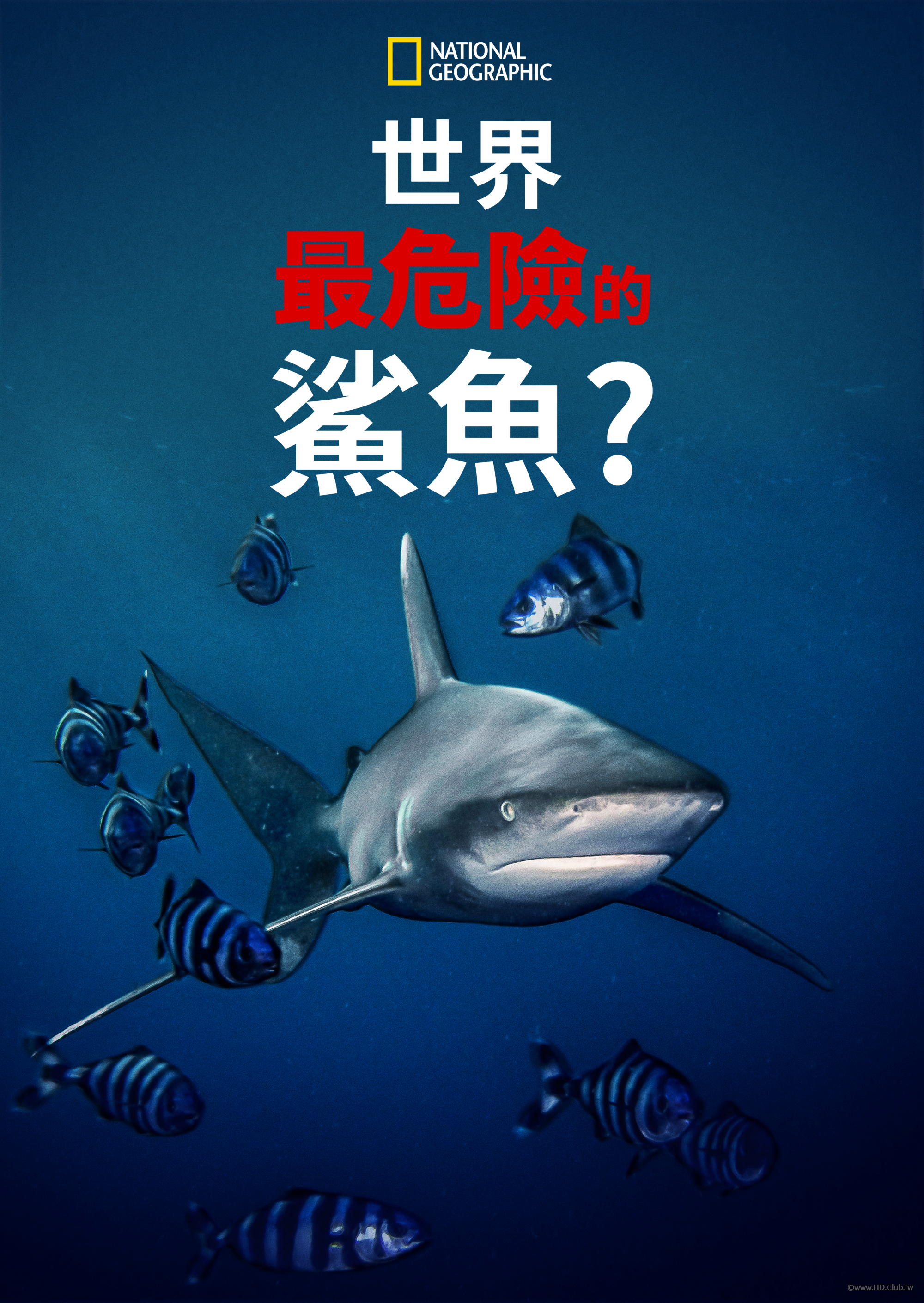 World&#039;s Most Dangerous Shark？(世界最危險的鯊魚？).png