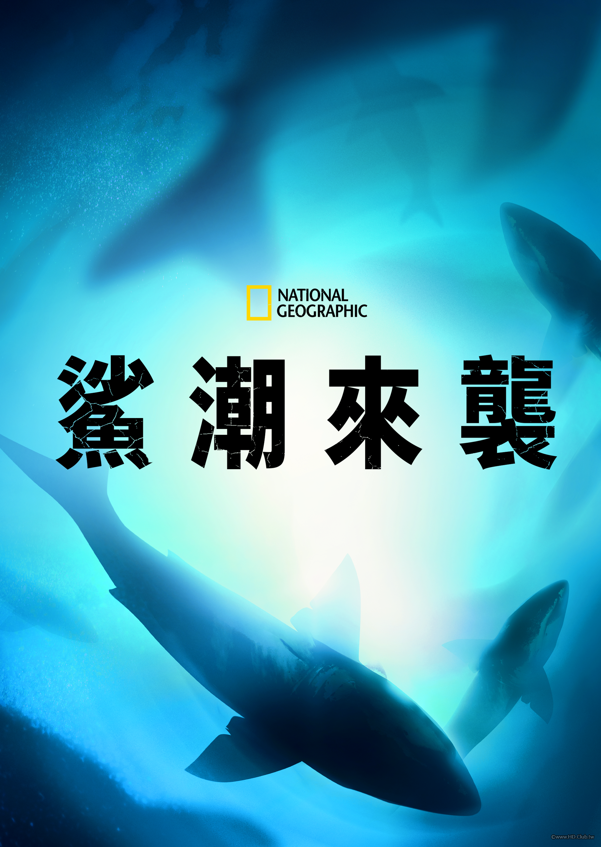 Counting Jaws(鯊潮來襲).png