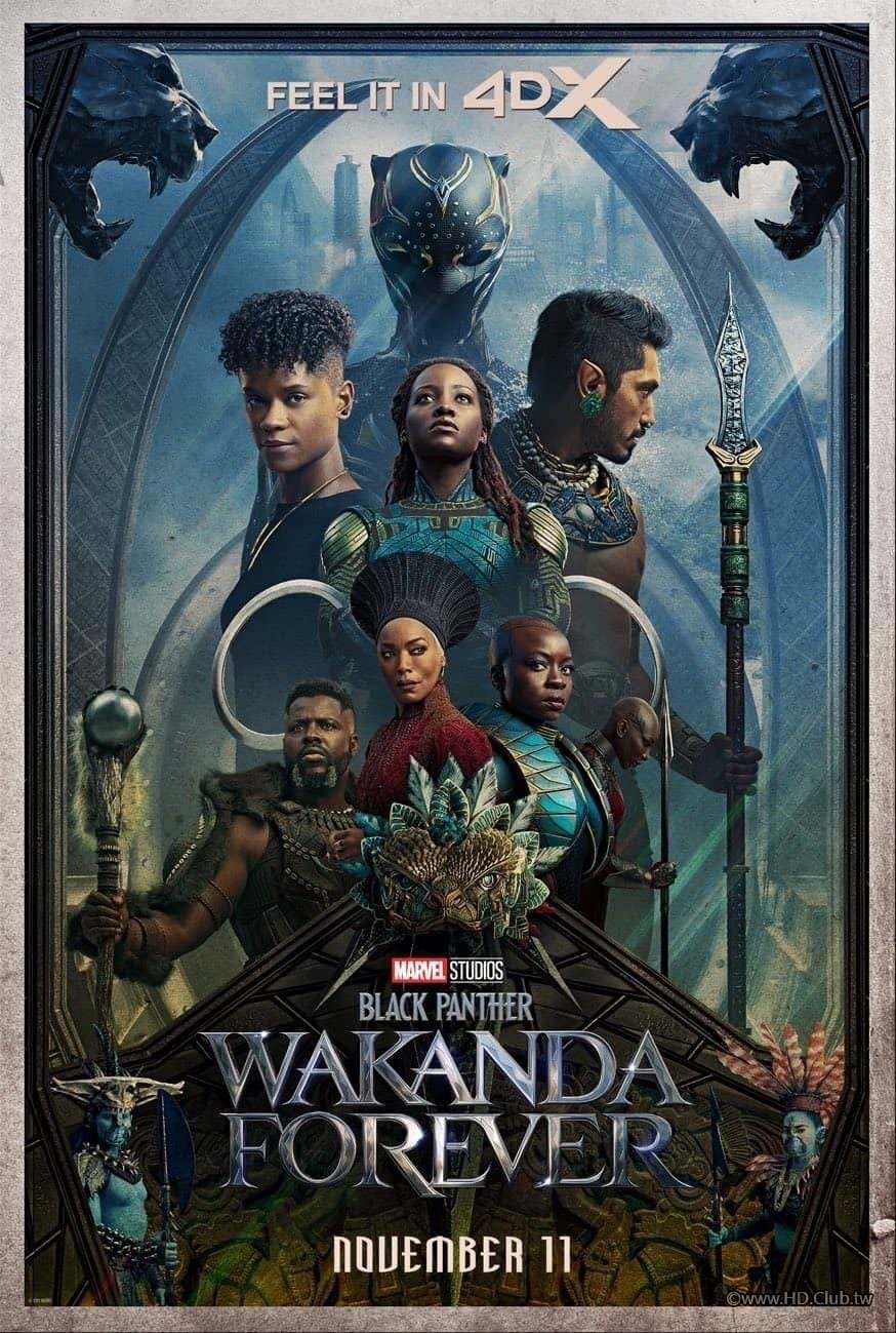 black_panther_wakanda_forever_ver5_xlg.jpg