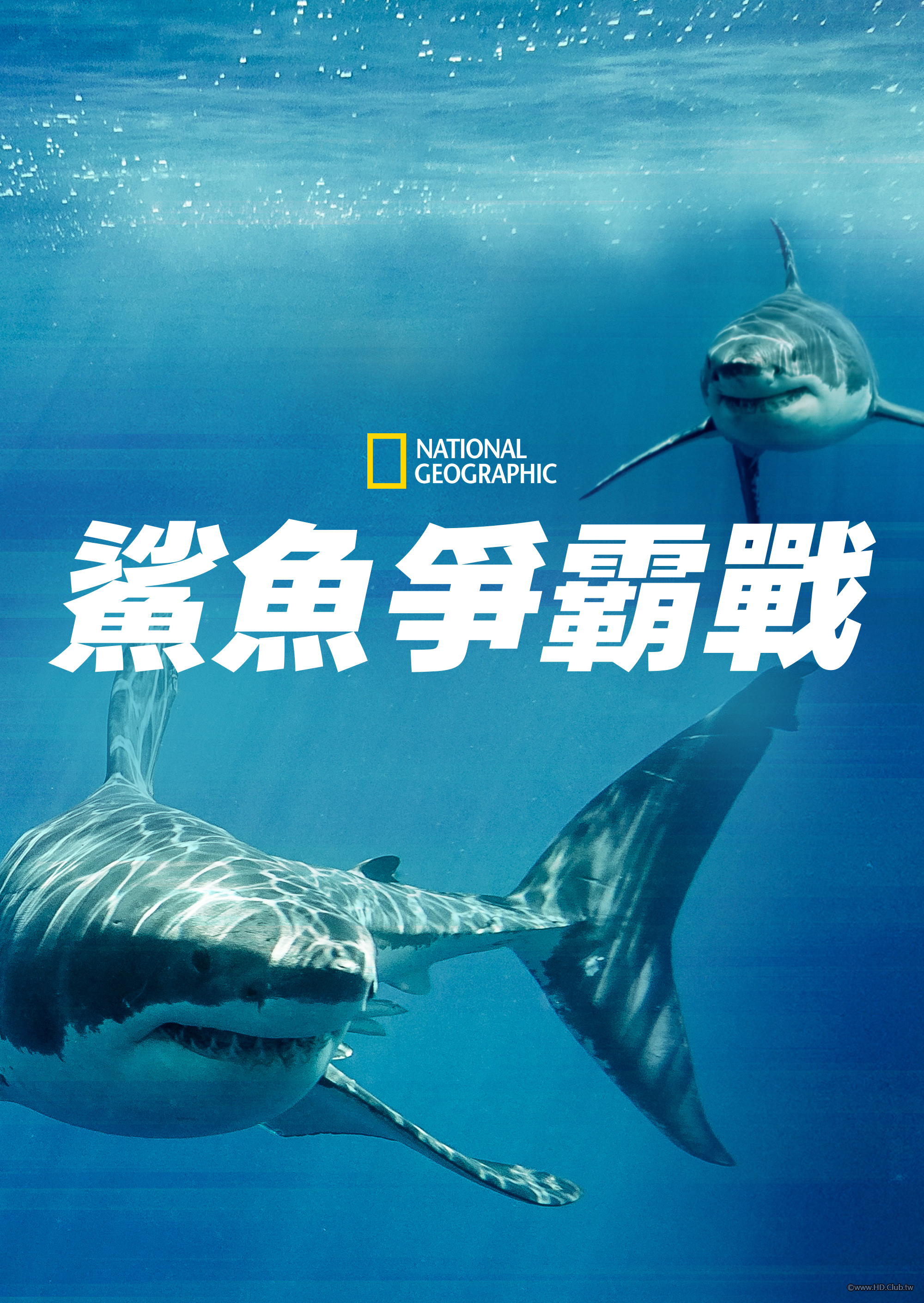 Game of Sharks(鯊魚爭霸戰).png