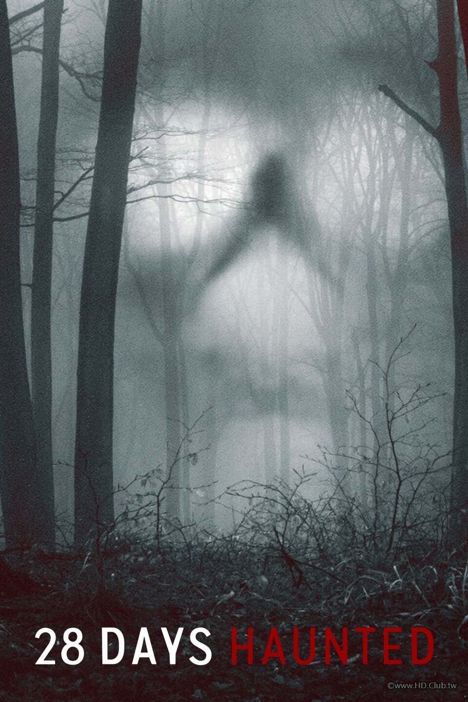 鬧鬼實境 28 天.jpg