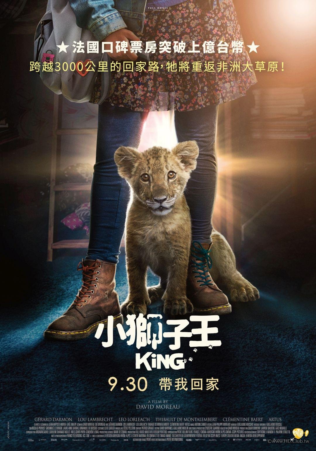 小獅子王 King.jpg
