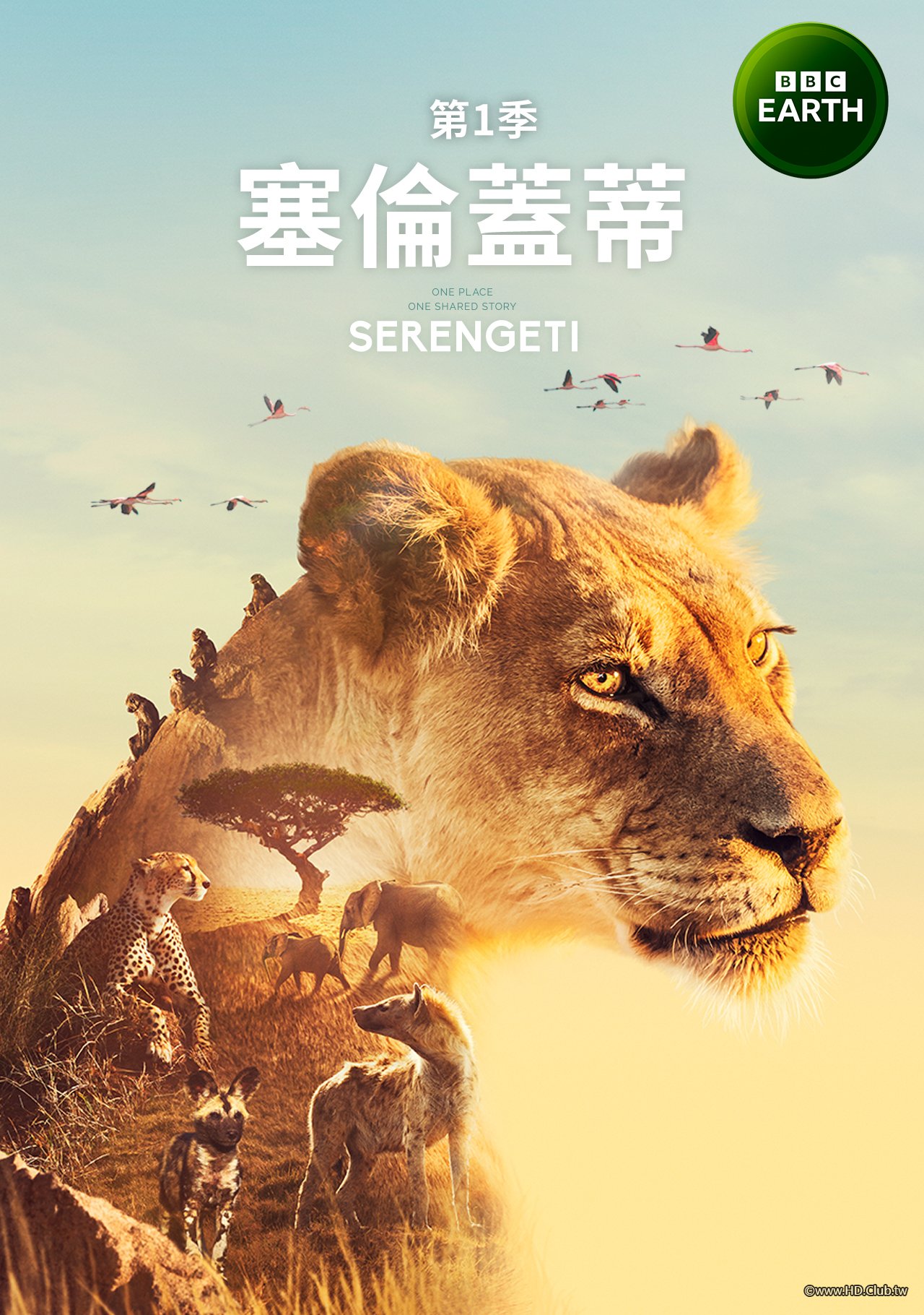 Serengeti S01(塞倫蓋蒂 第一季).jpg