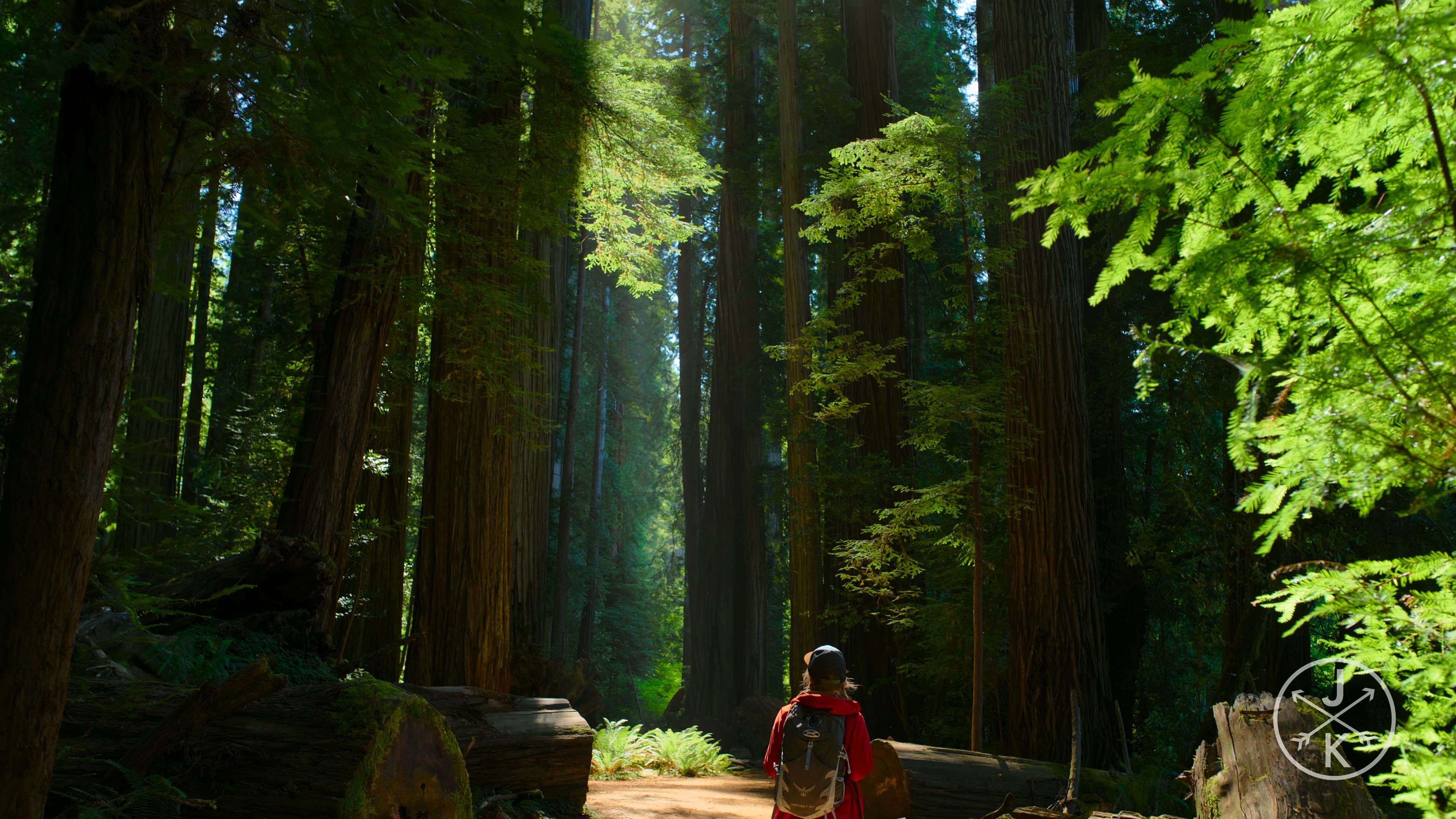 [HDR.J&K.8K.视频] 红杉 Redwoods 8k 60p HDR in 2022.mp4_20240208_115529.138.jpg