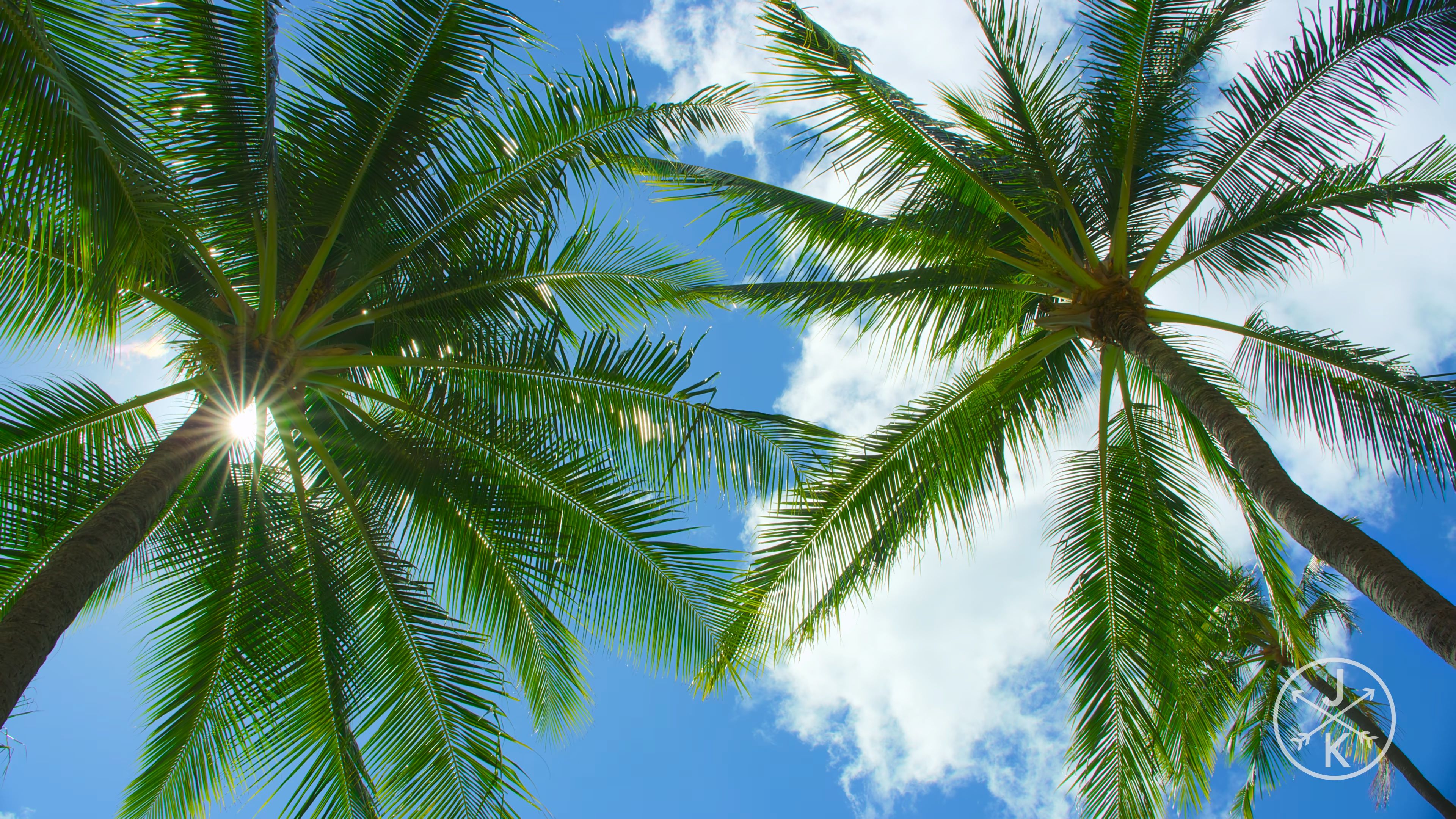 [HDR.J&K.8k.视频] 夏威夷 Hawaii in 8K HDR 60FPS.mp4_20240208_115859.845.jpg