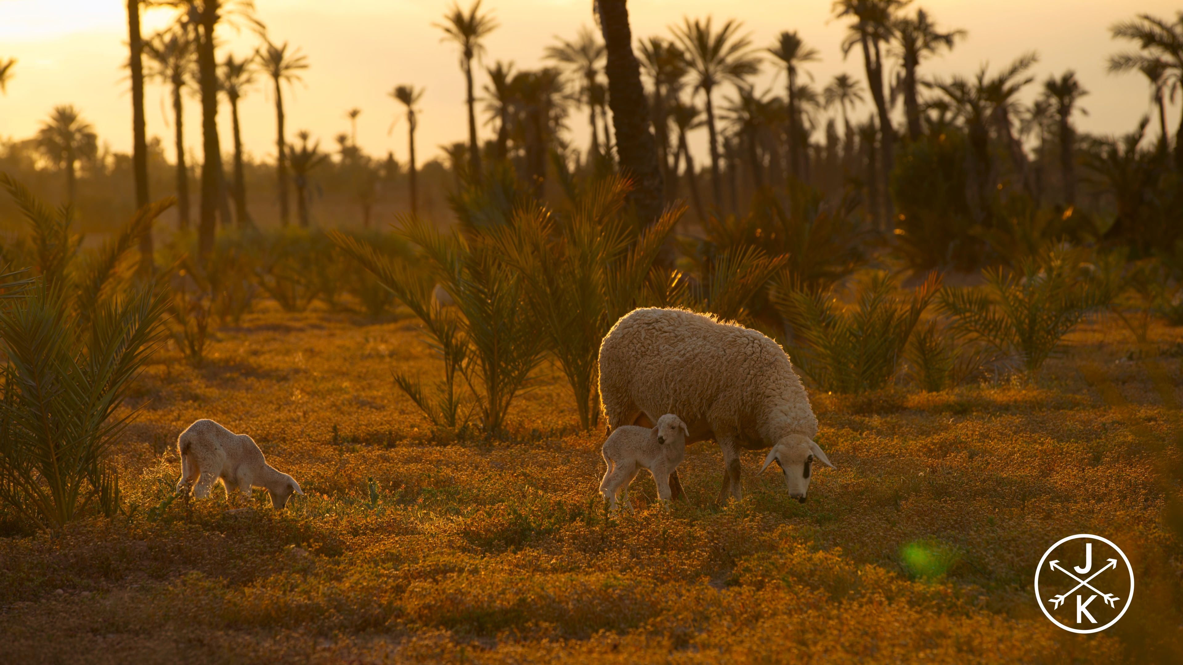 [HDR.J&K.8K.视频] 最佳8K Best of 8K HDR 60p.mp4_20240208_120241.258.jpg