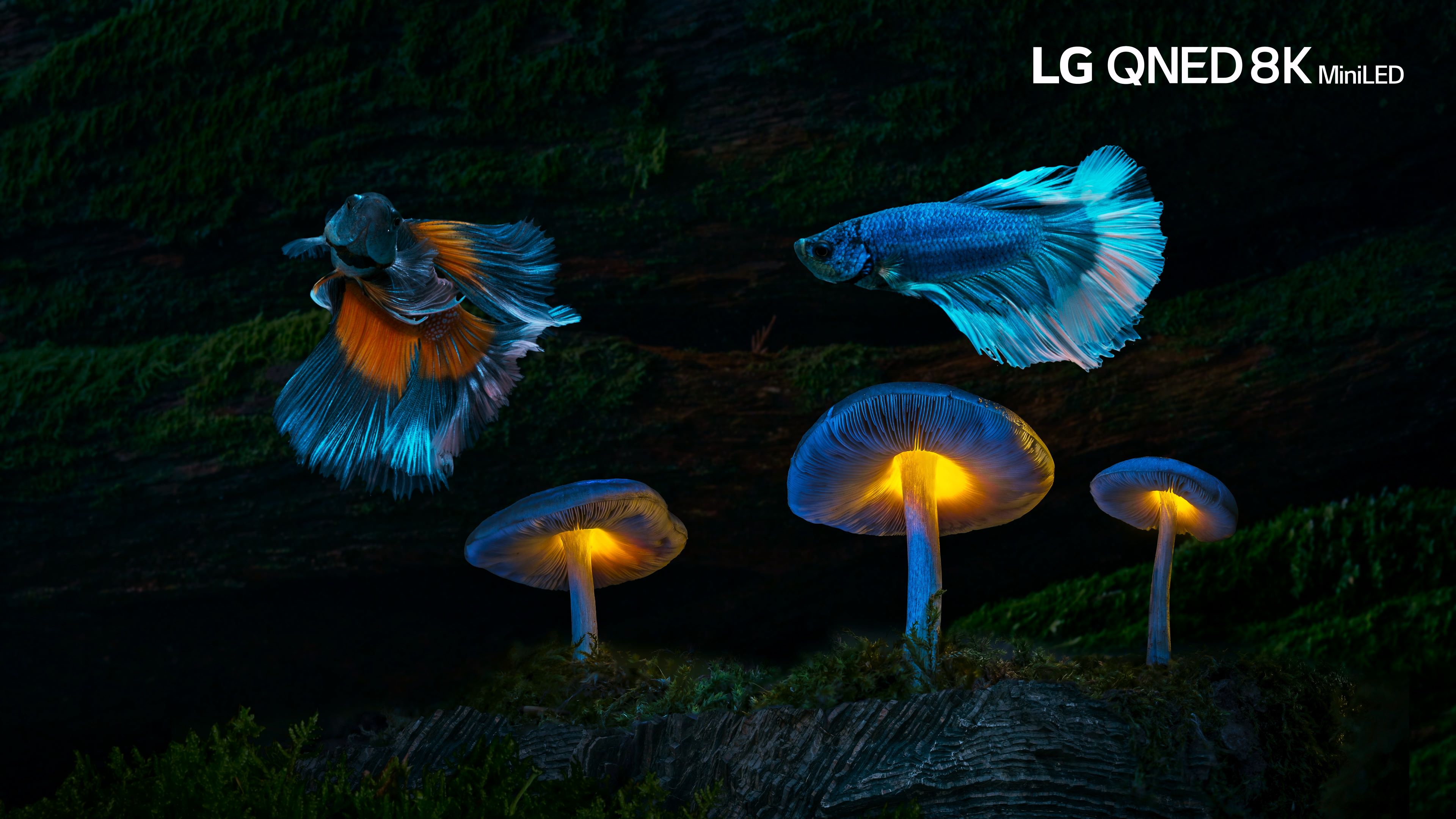 [HDR.LG.8K.演示片] 阳光 LG QNED 8K MiniLED │Shine 8K HDR 60fps.mp4_20240208_120.jpg