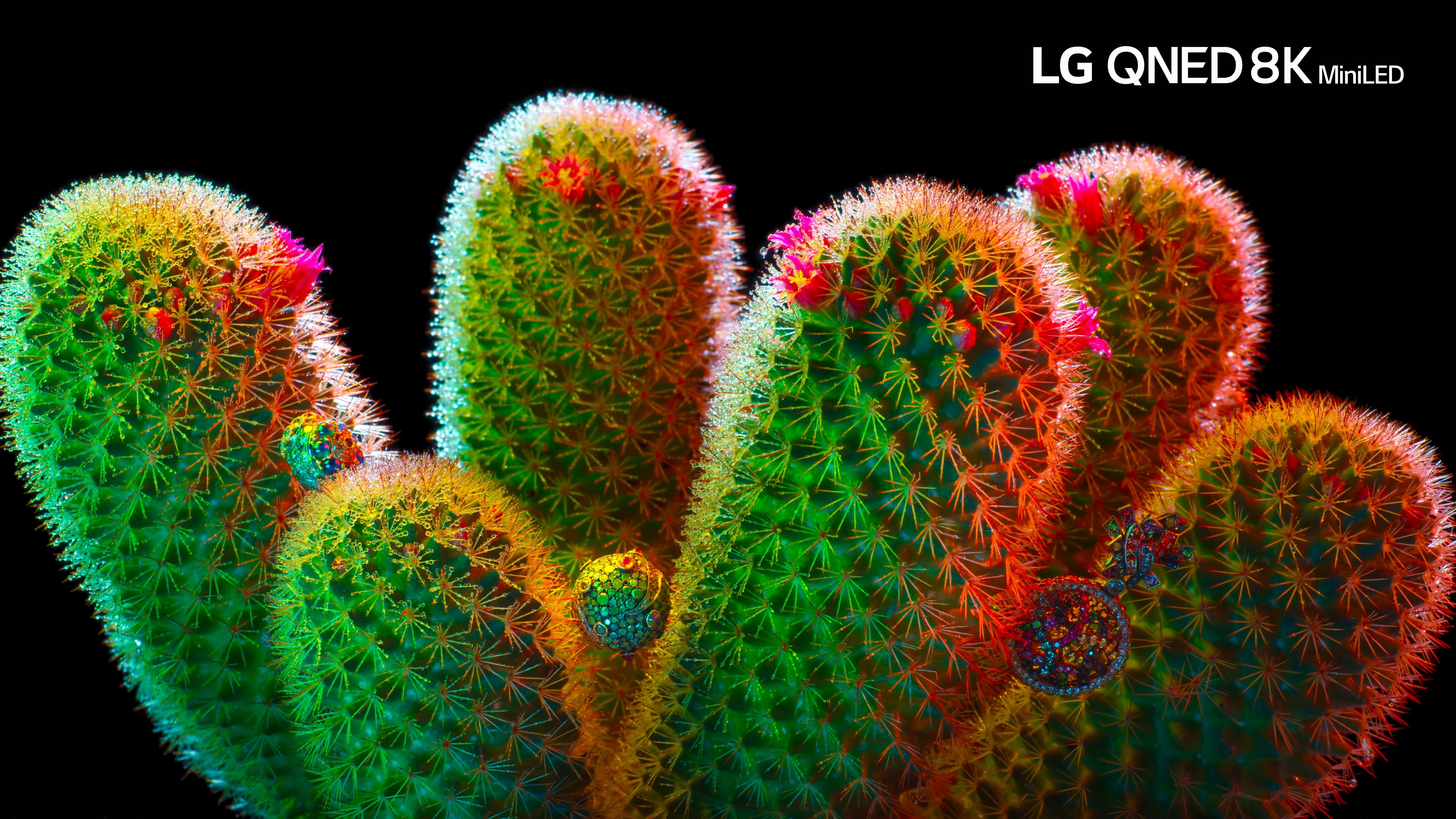 [HDR.LG.8K.演示片] 阳光 LG QNED 8K MiniLED │Shine 8K HDR 60fps.mp4_20240208_120.jpg