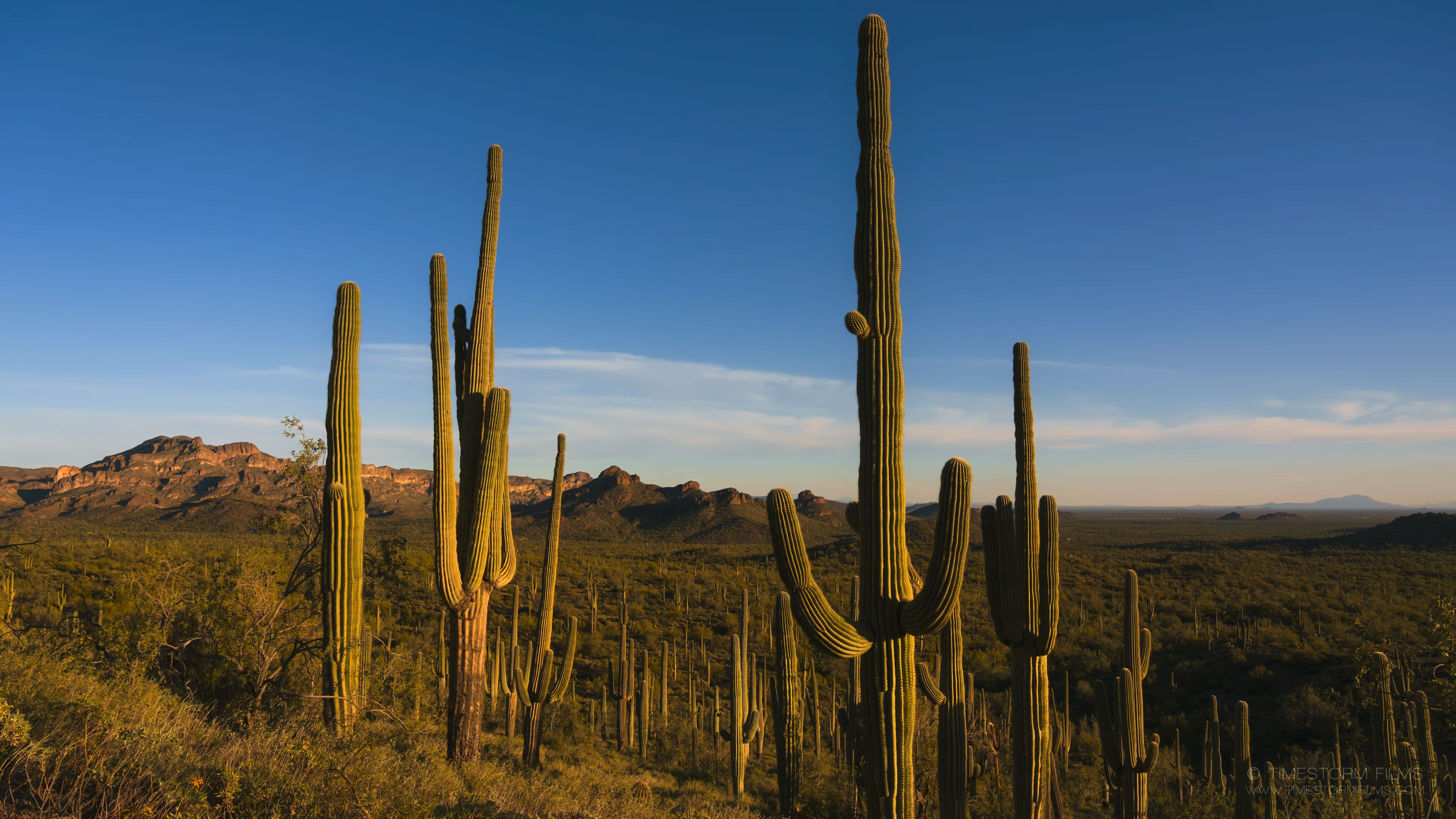 [HDR.TIMESTORM.8K.视频] 亚利桑那 ARIZONA 8K TIMELAPSE.mp4_20240208_121123.047.jpg