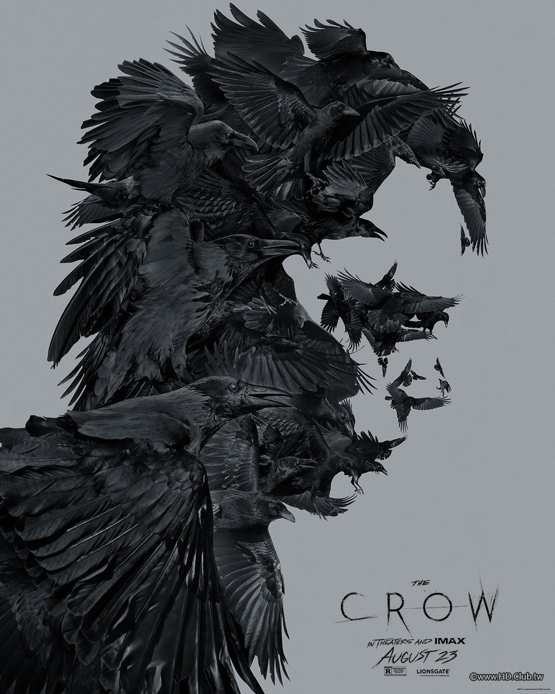 crow_ver5_xlg.jpg