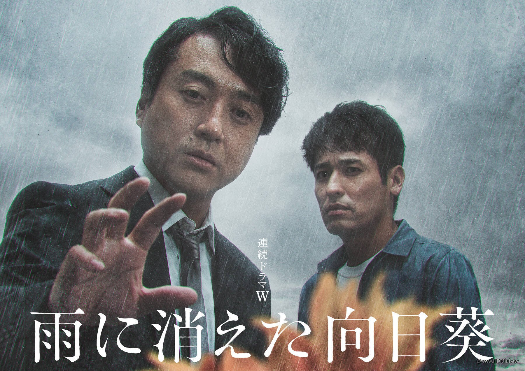 在雨中消失的向日葵