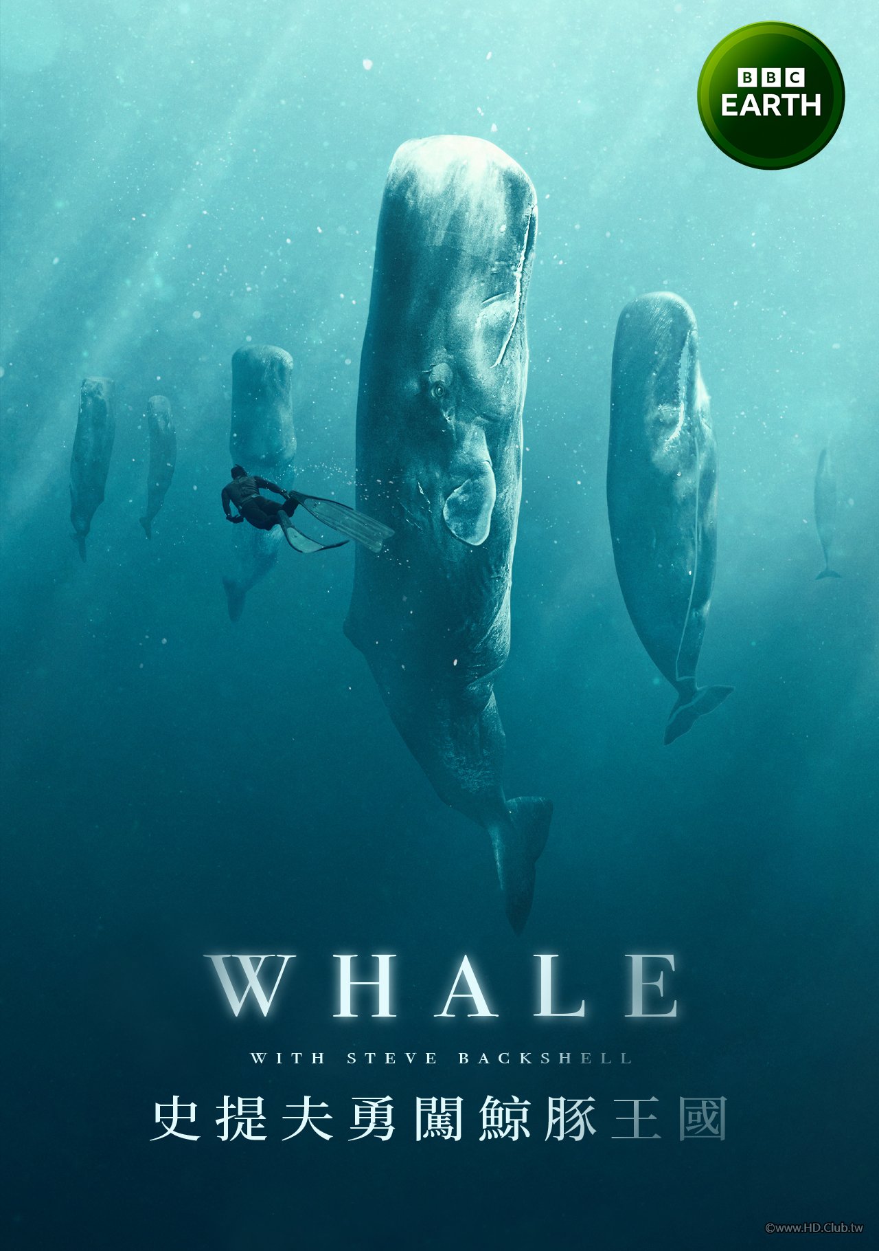 Whale with Steve Backshall S01(史提夫勇闖鯨豚王國 第一季).jpg