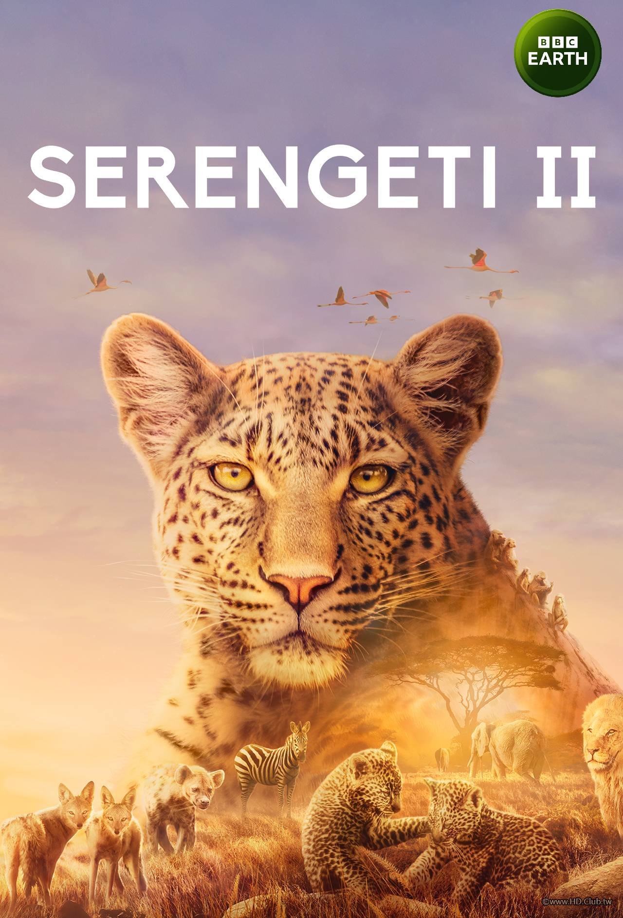Serengeti S01(塞倫蓋蒂 第二季).jpg