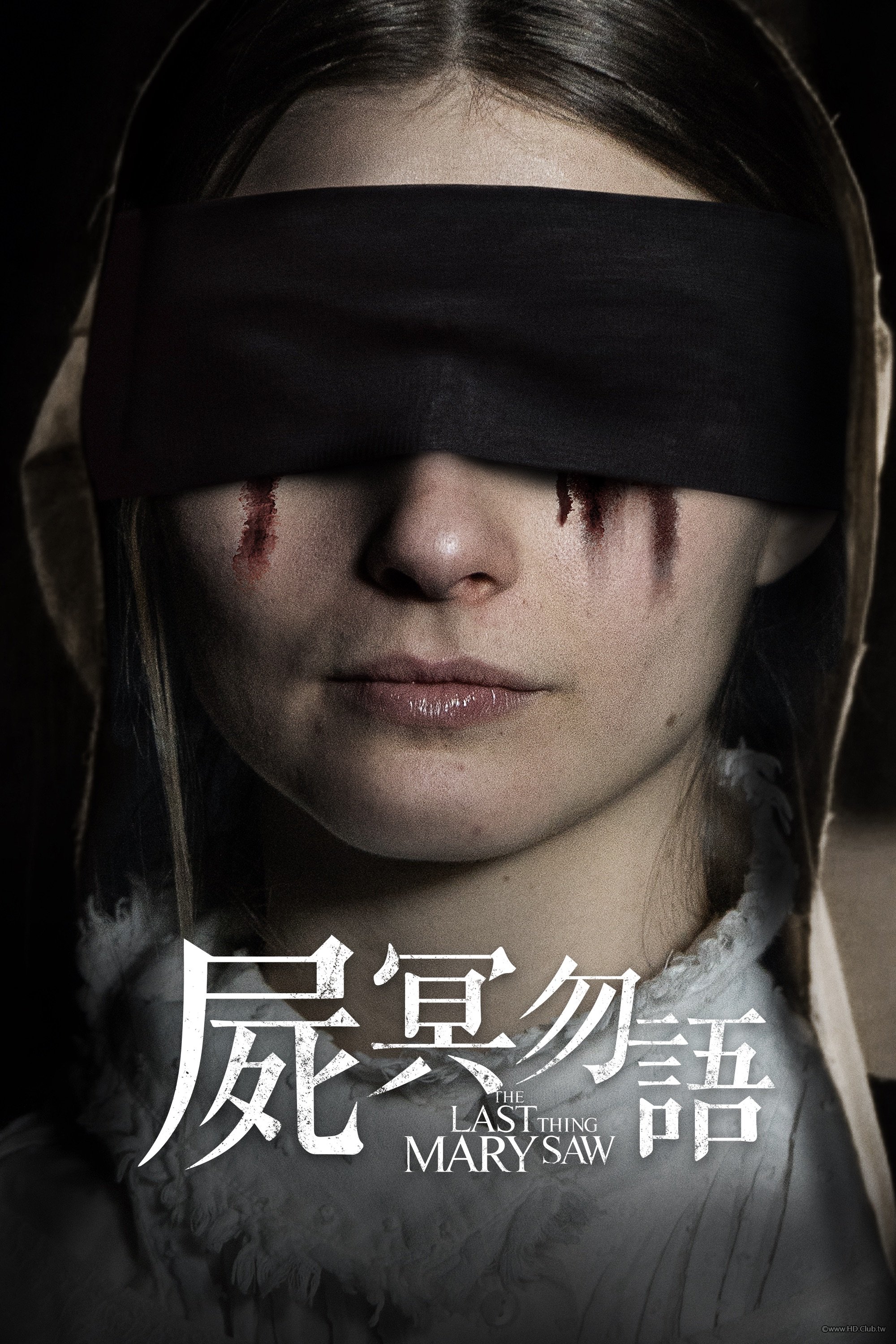 The Last Thing Mary Saw.jpg