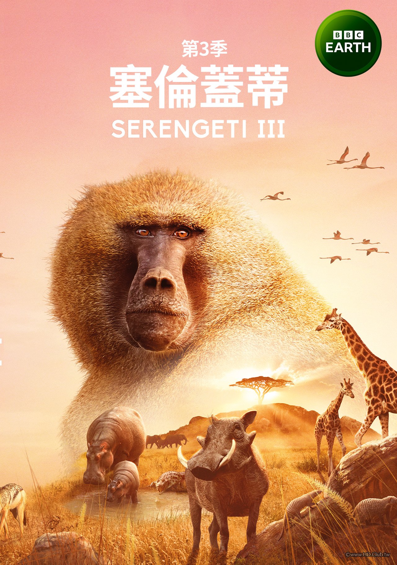 Serengeti S03(塞倫蓋蒂 第三季).jpg