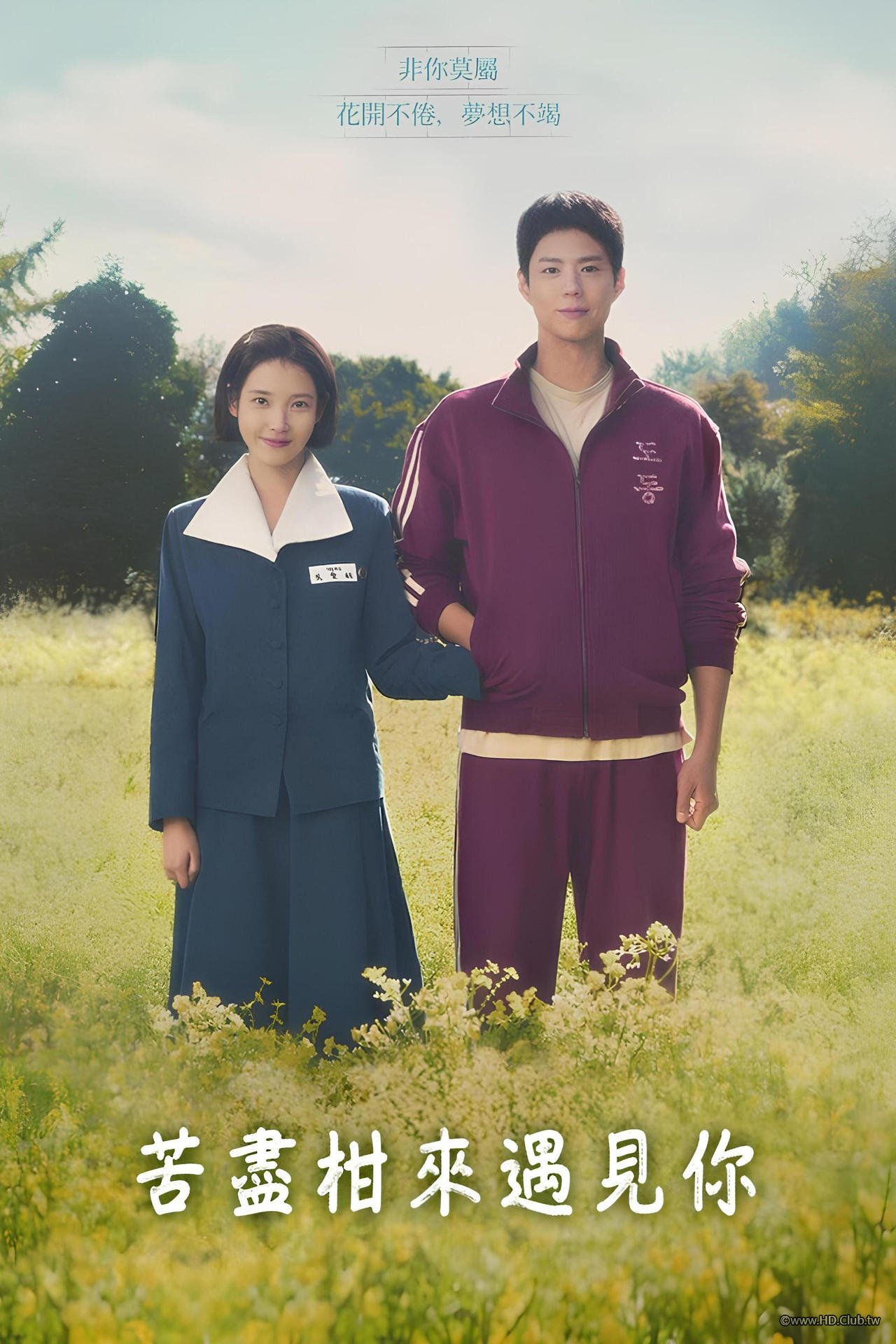 苦盡柑來遇見你.jpg