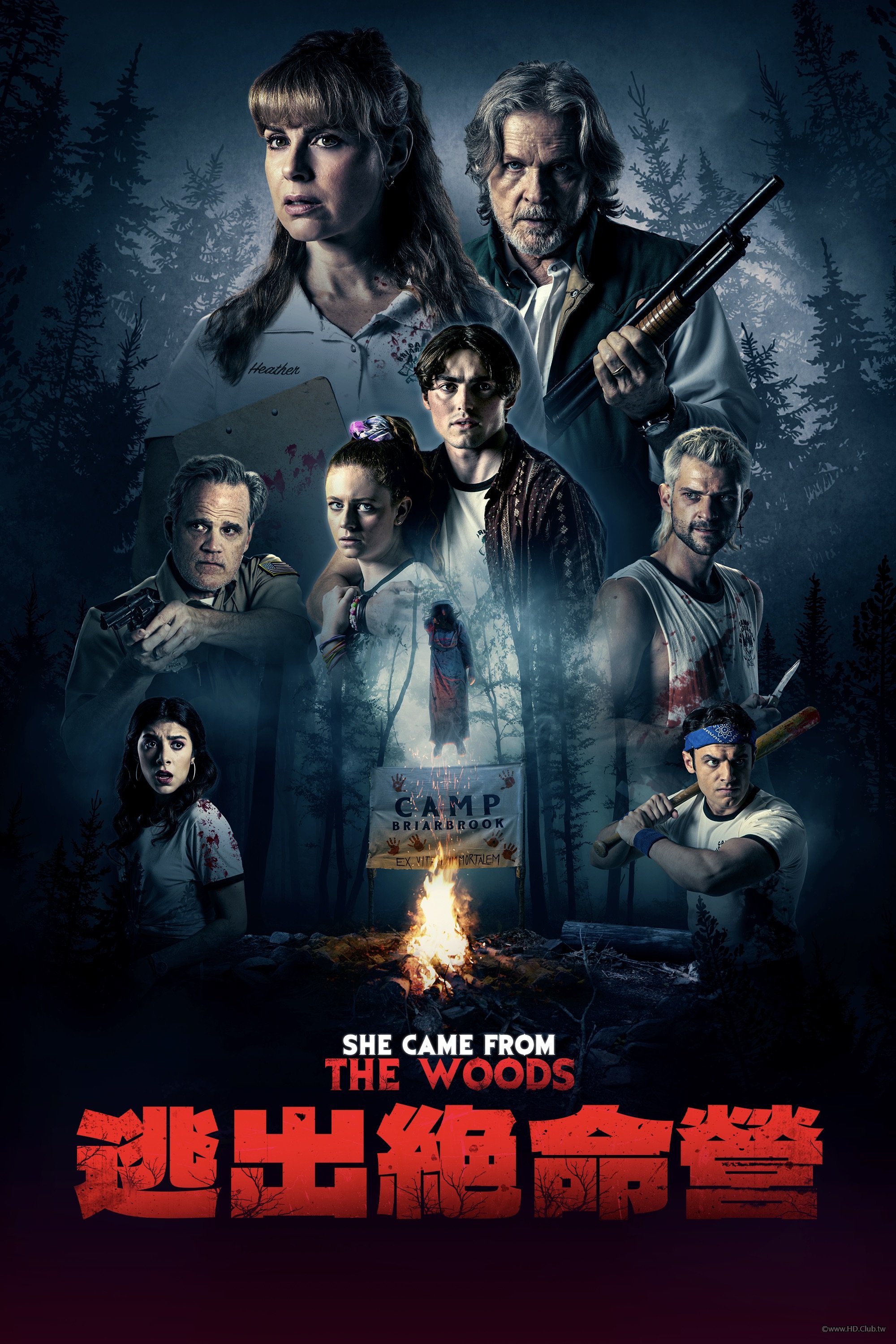 She Came from the Woods.jpg