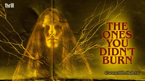 TheOnesYouDidntBurn.jpg